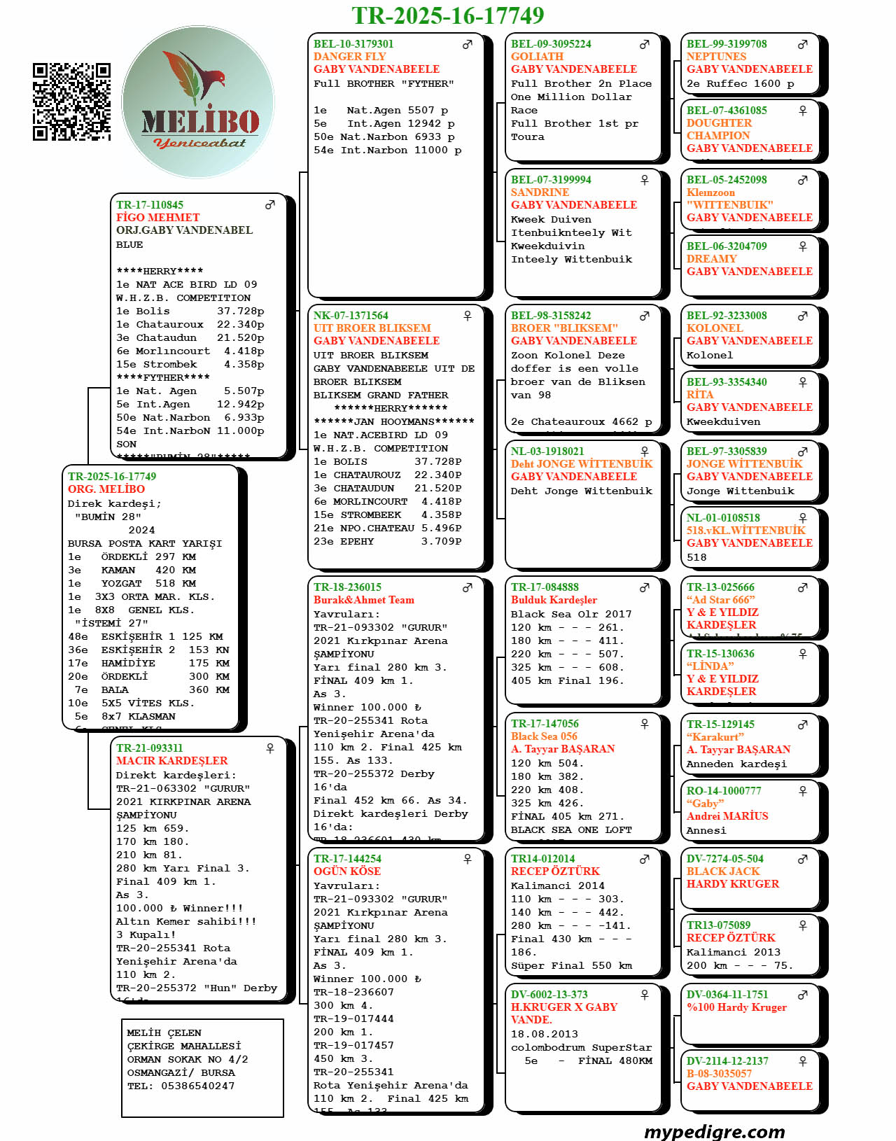 TR25-16-17749 ERKEK  / DİREK KARDEŞİ BUMİN 28
