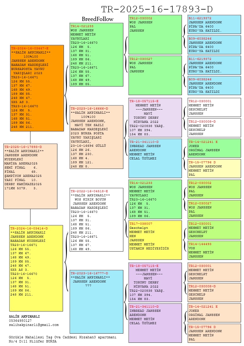 TR25-16-17893 DİŞİ /  JANSSEN % 100 KUZENİ 6 SEMİ FİNAL - 68 FİNAL 