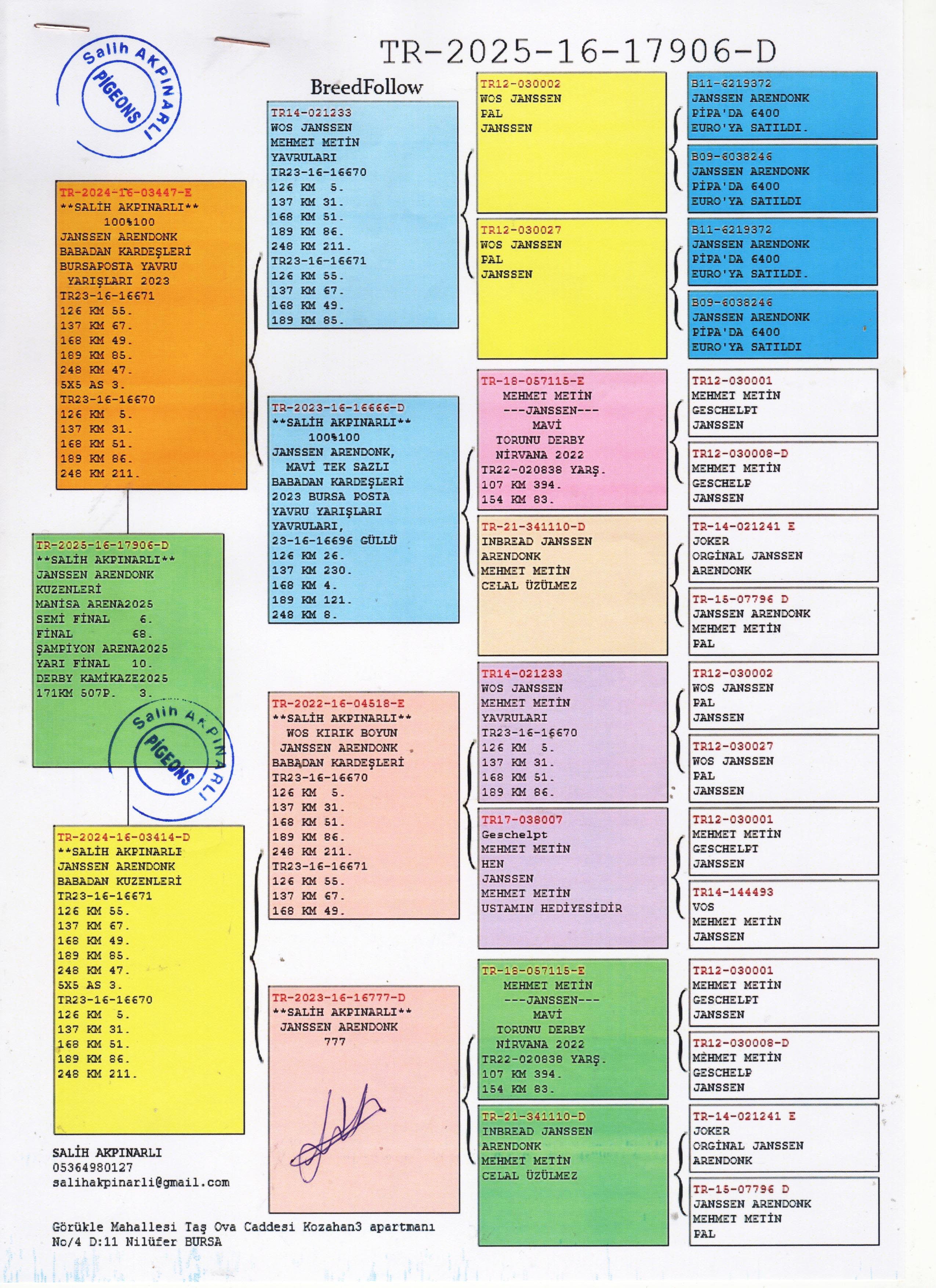 TR25-16-17906 / DİŞİ - JANSSEN ARENDONK % 100