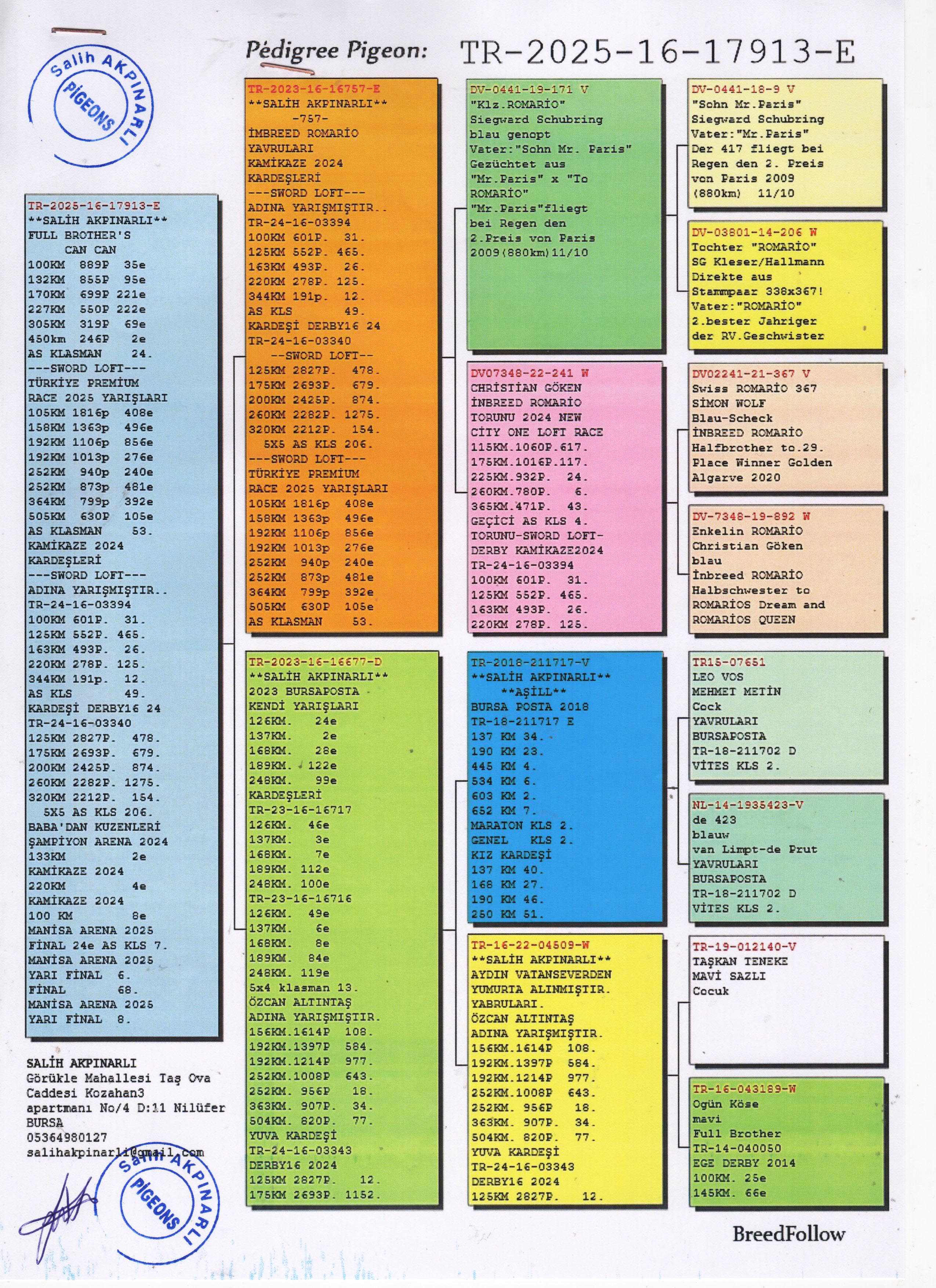 TR25-16-17913 ERKEK / BABASI INBREED ROMARIO