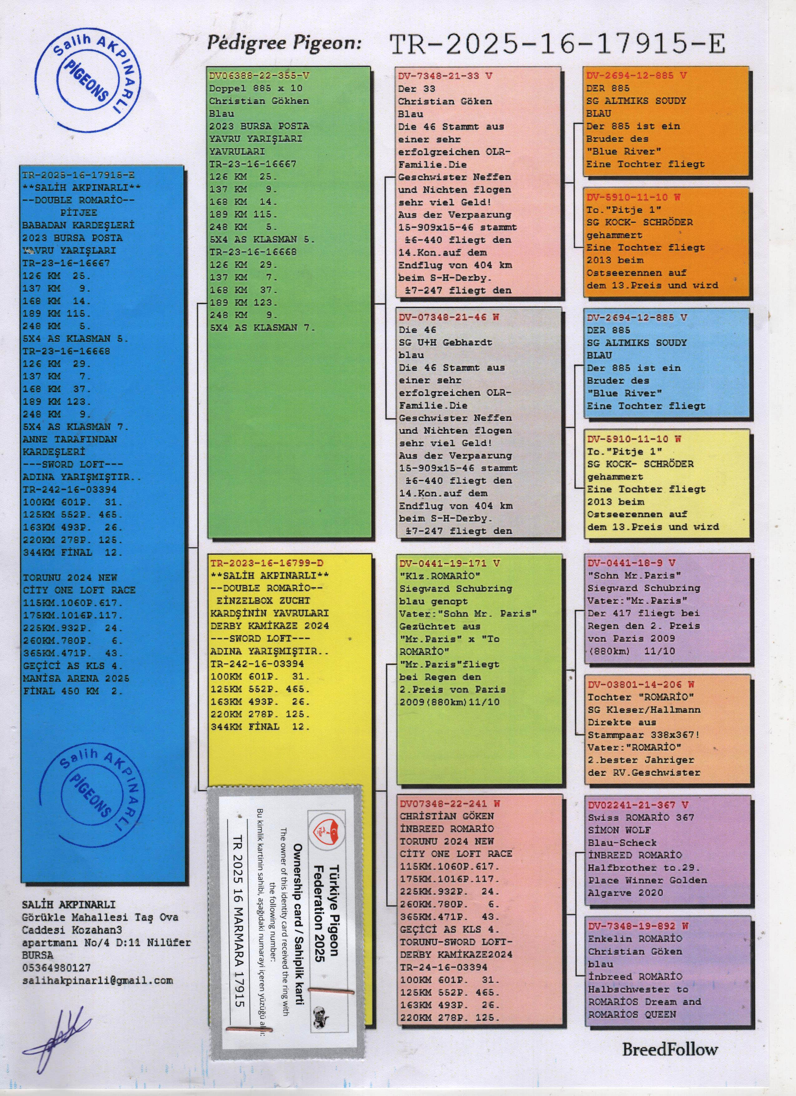 TR25-16-17915 ERKEK / INBREED ROMARIO X PITJE 