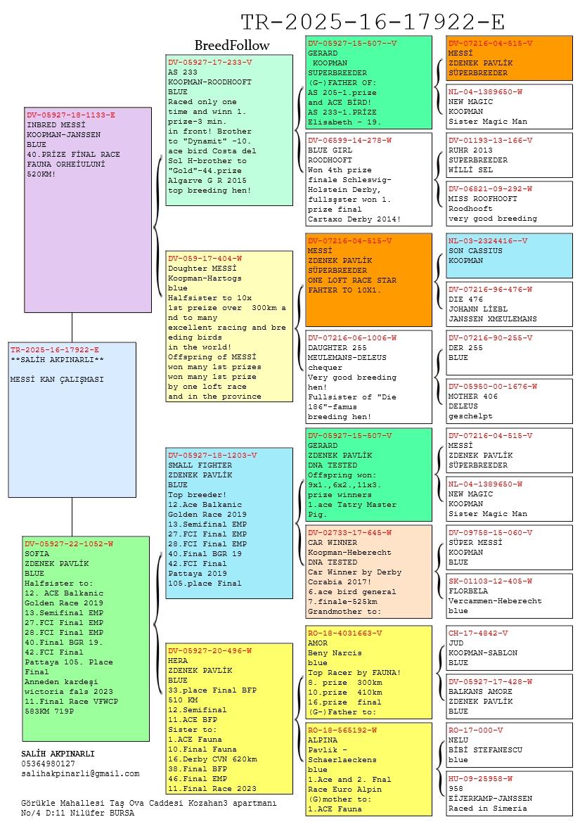 TR25-16-17922 ERKEK / ZDENEK PAVLİK  MESSİ SOYU