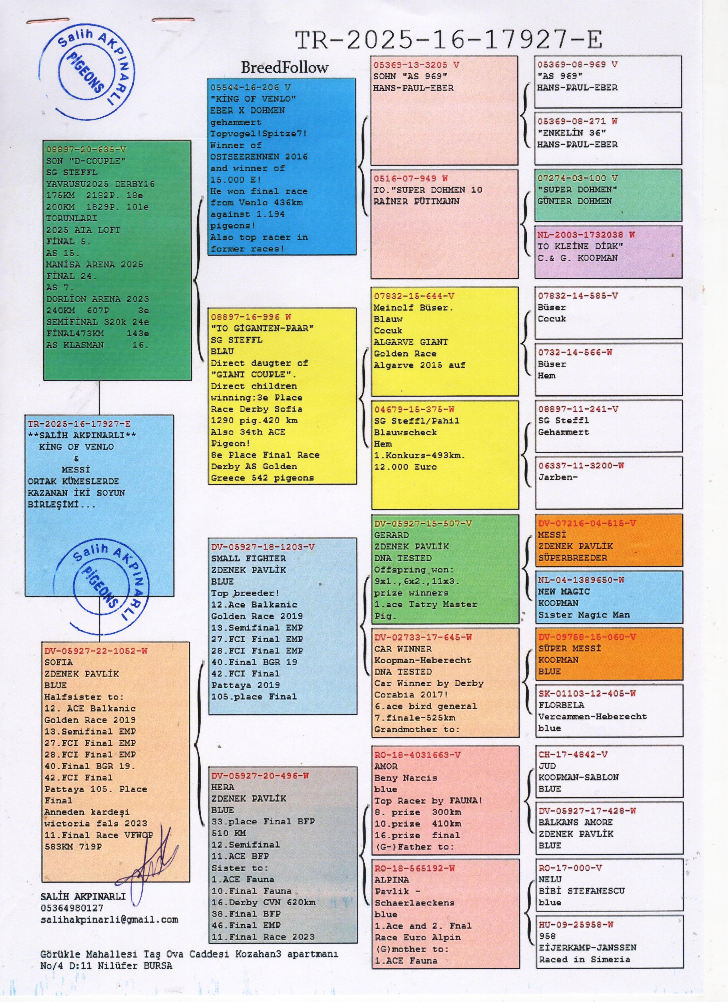 TR25-16-17927 ERKEK / BABASI D COUPE ANNESİ GERARD TORUNU 