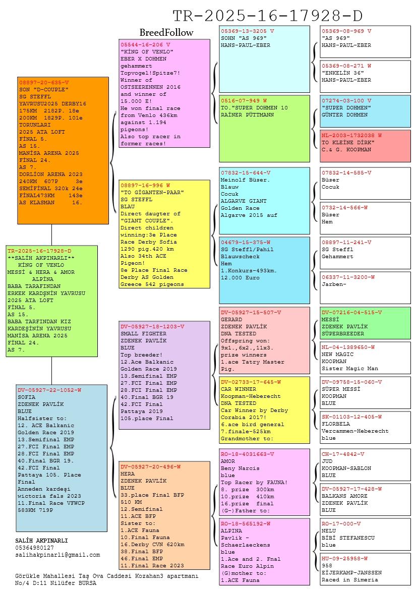 TR25-16-17928 DİŞİ / BABASI SG STEFFL D COUPLE ANNESİ ZDENEK PAVLIK