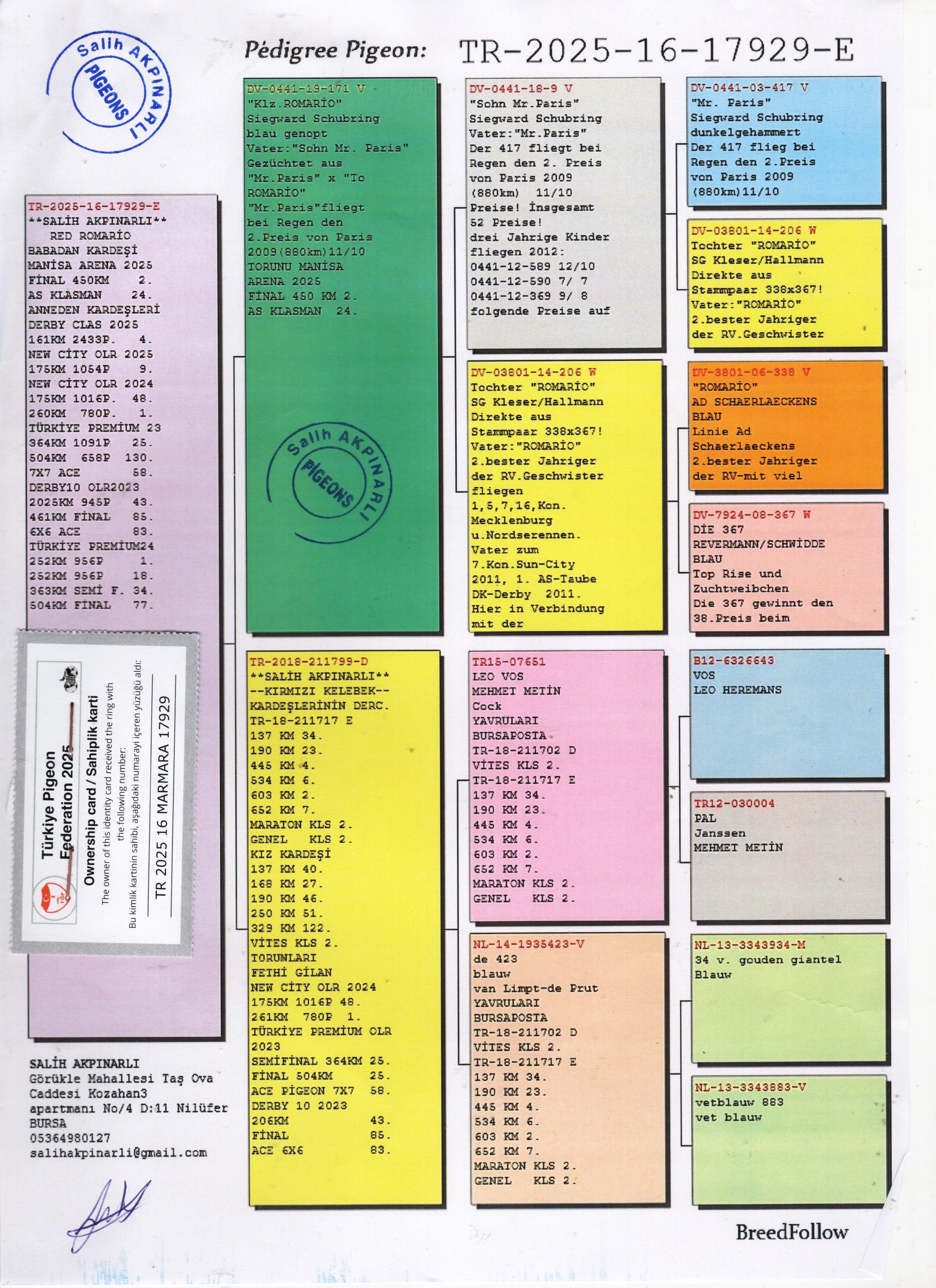 TR25-16-17929 ERKEK / BABASI ROMARIO ANNESİ JANSSEN DE PRUT