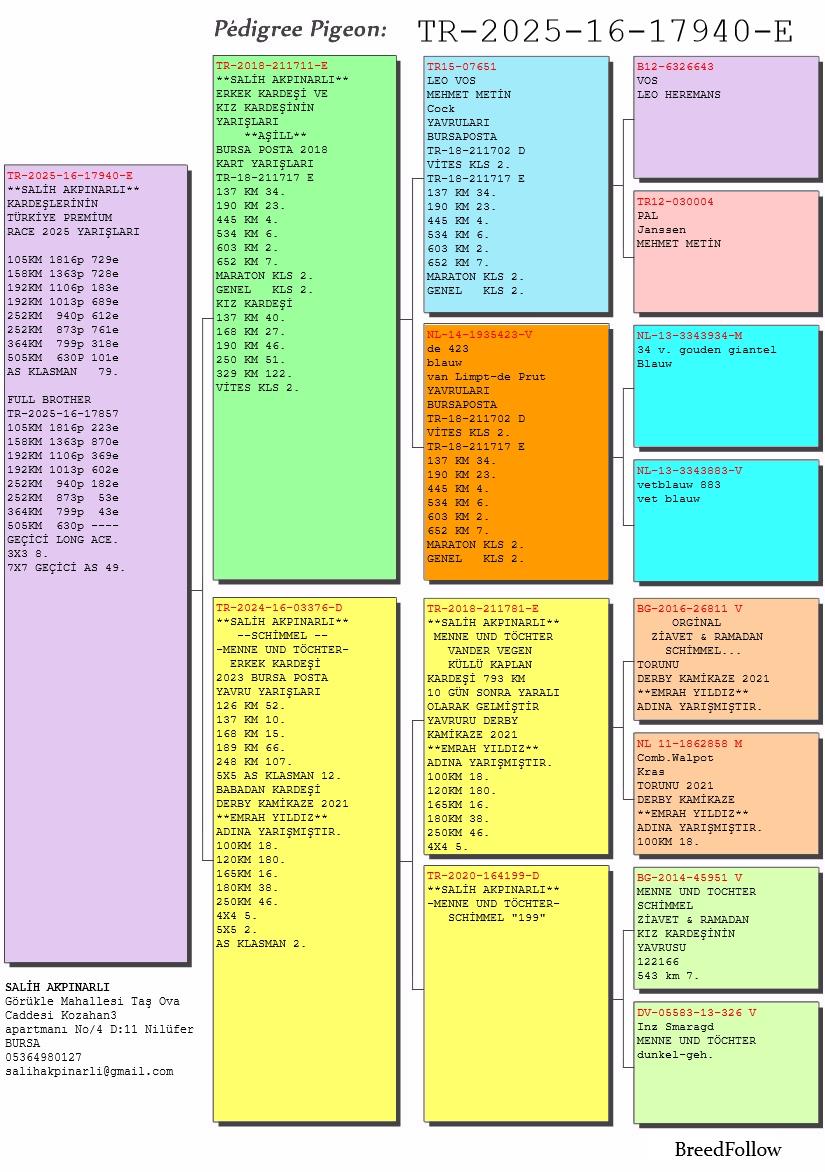 TR25-16-17940 ERKEK / JANSSEN - DE KLAK - MENNE UND TOCHTER