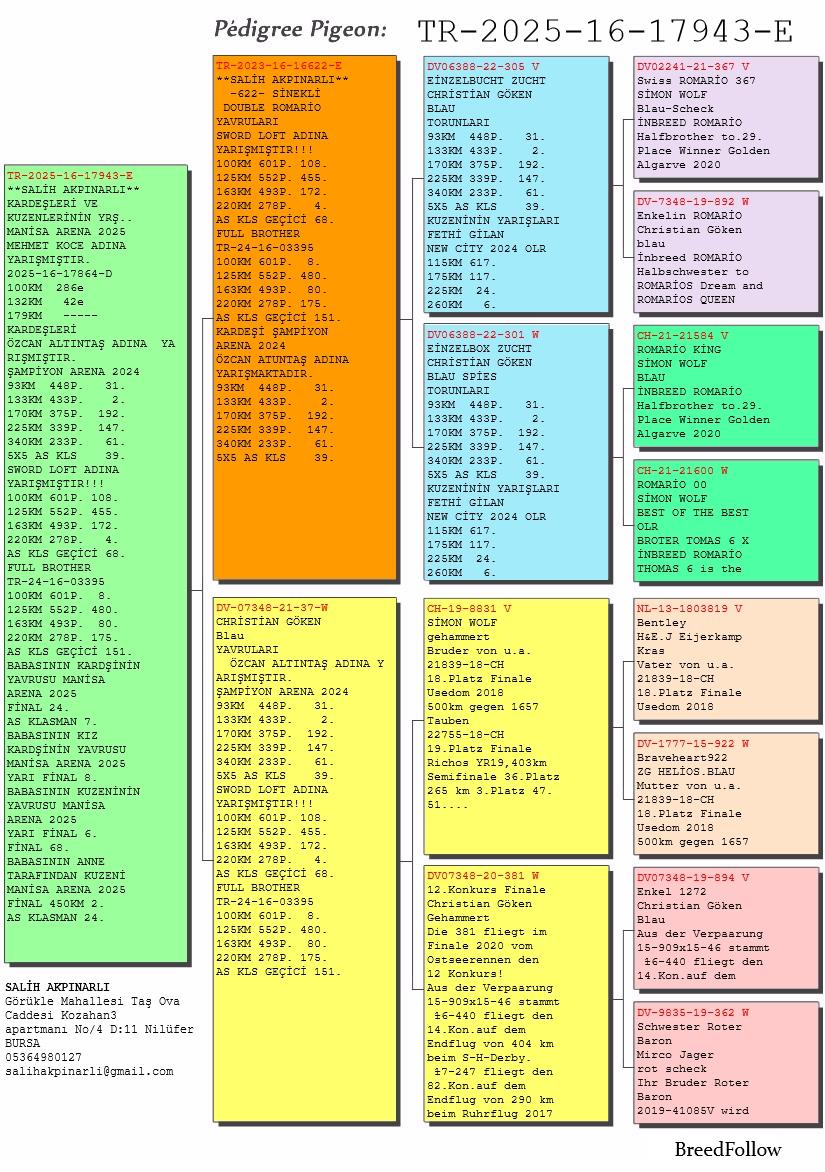 TR25-16-17943 ERKEK /  BABASI DOUBLE ROMARIO