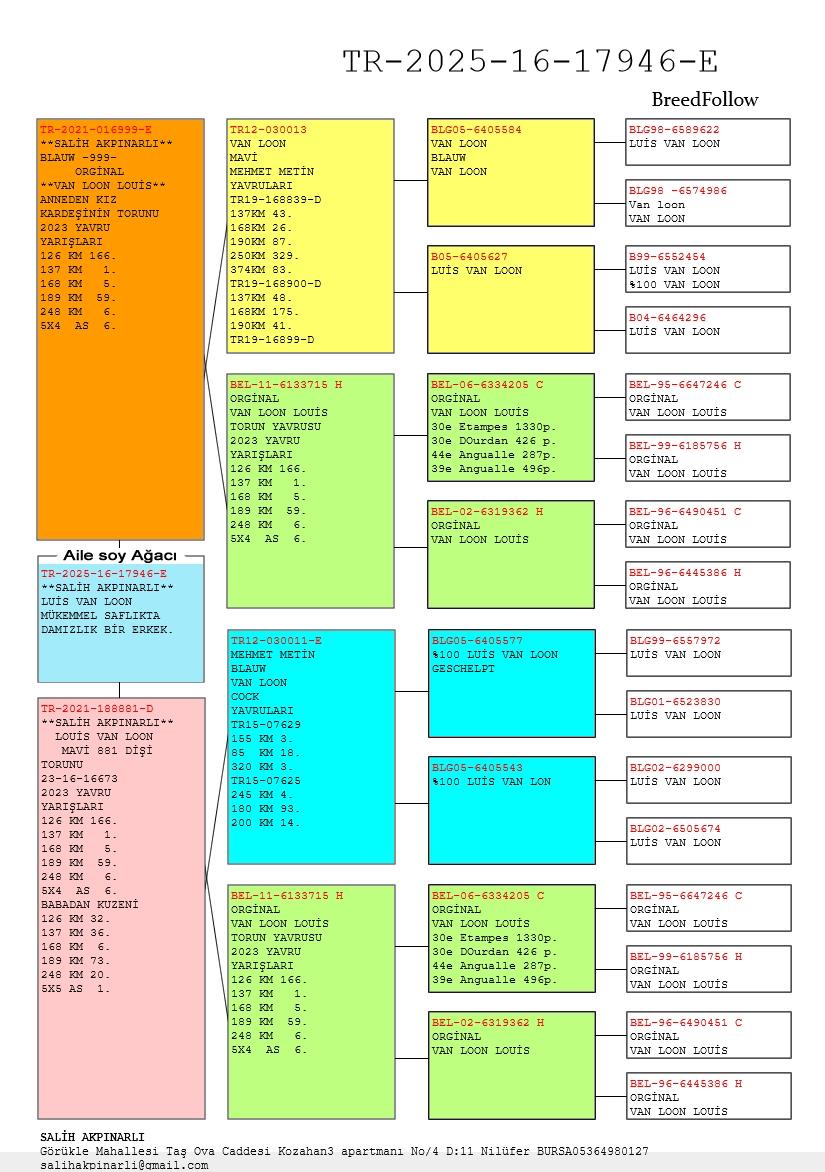 TR25-16-17946 ERKEK / LOUIS VAN LOON % 100