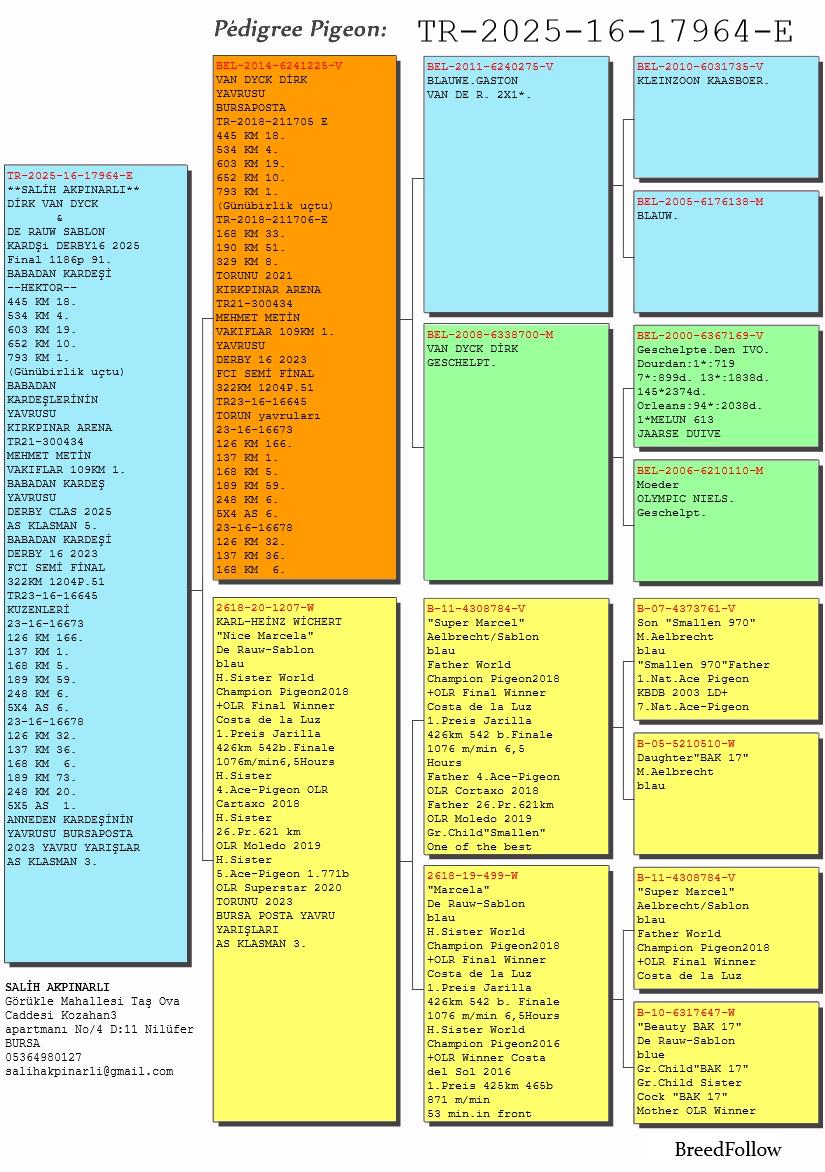 TR25-16-17964 ERKEK / BABADAN KARDEŞİ HEKTOR 1.  793 KM G&Uuml;N&Uuml; BİRLİK 