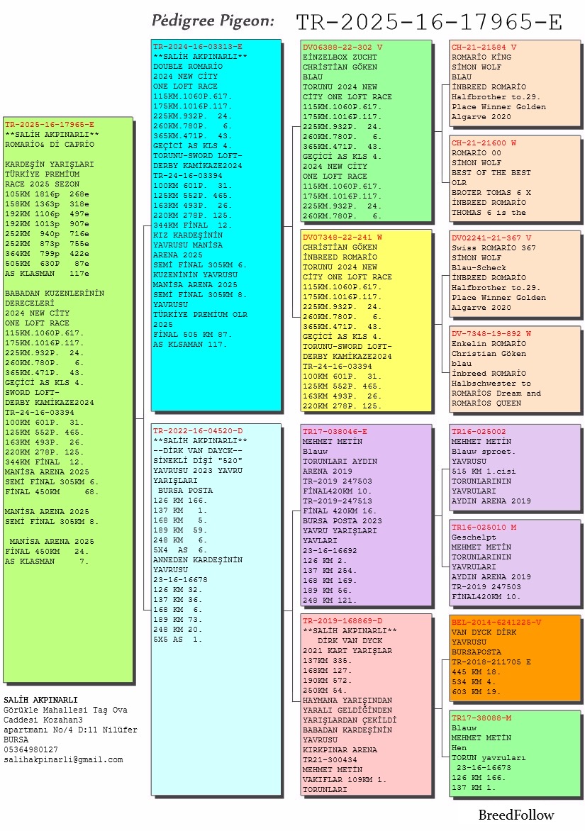 TR25-16-17965 ERKEK / BABASI DOUBLE ROMARIO ANNESİ VAN DYCK 