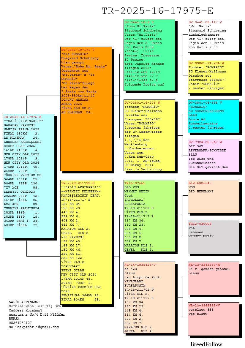 TR25-16-17975 ERKEK / ROMARIO - JANSSNE - DE KLAK