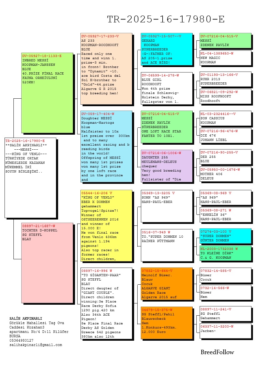 TR25-16-17980 ERKEK / BABASI 40 FİNAL 520 KM ZDENEK PAVLİK ANNESİ SG STEFFL D-KOPPEL