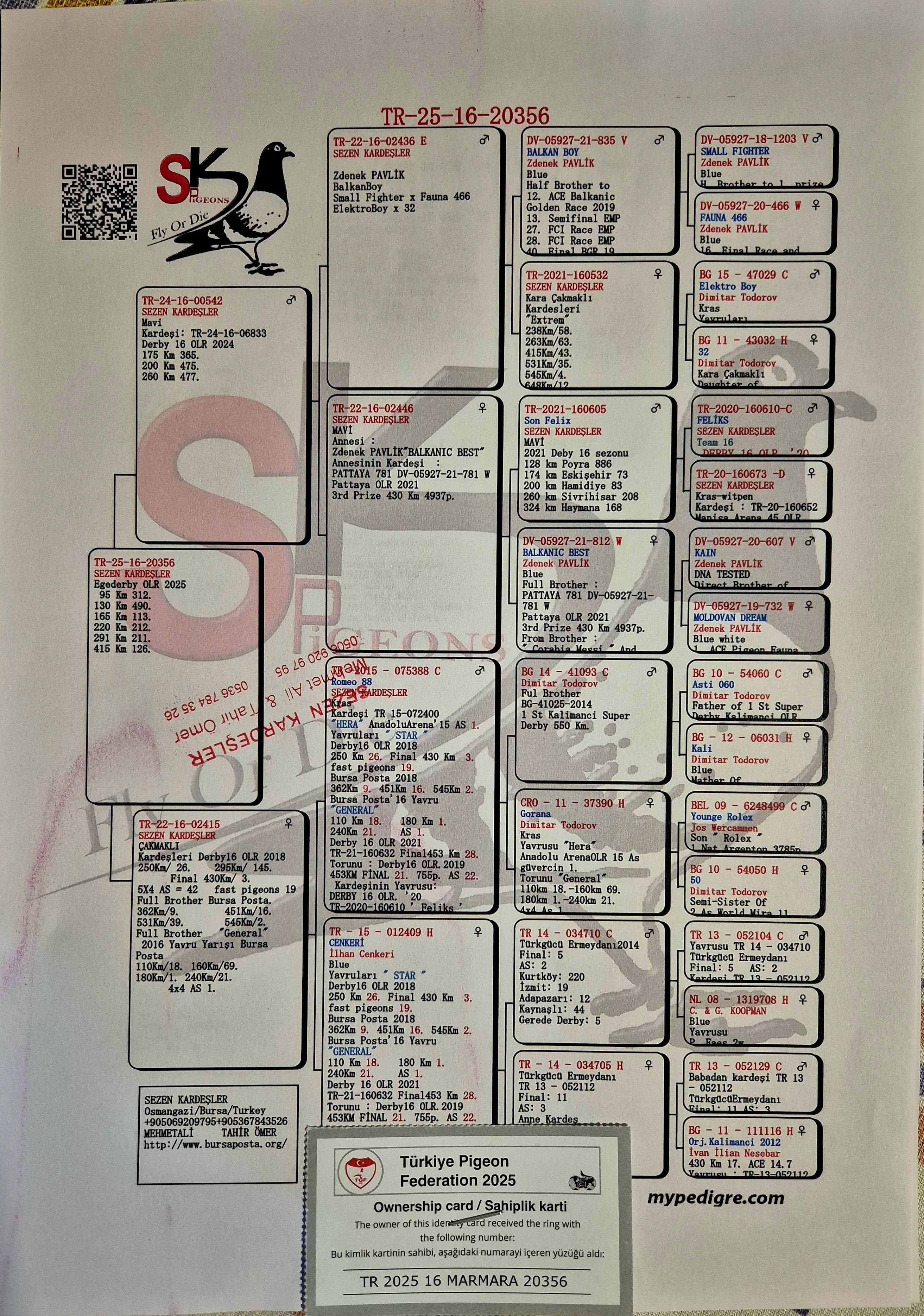 TR25-16-20356 / TEAM  16 - 126 FİNAL 