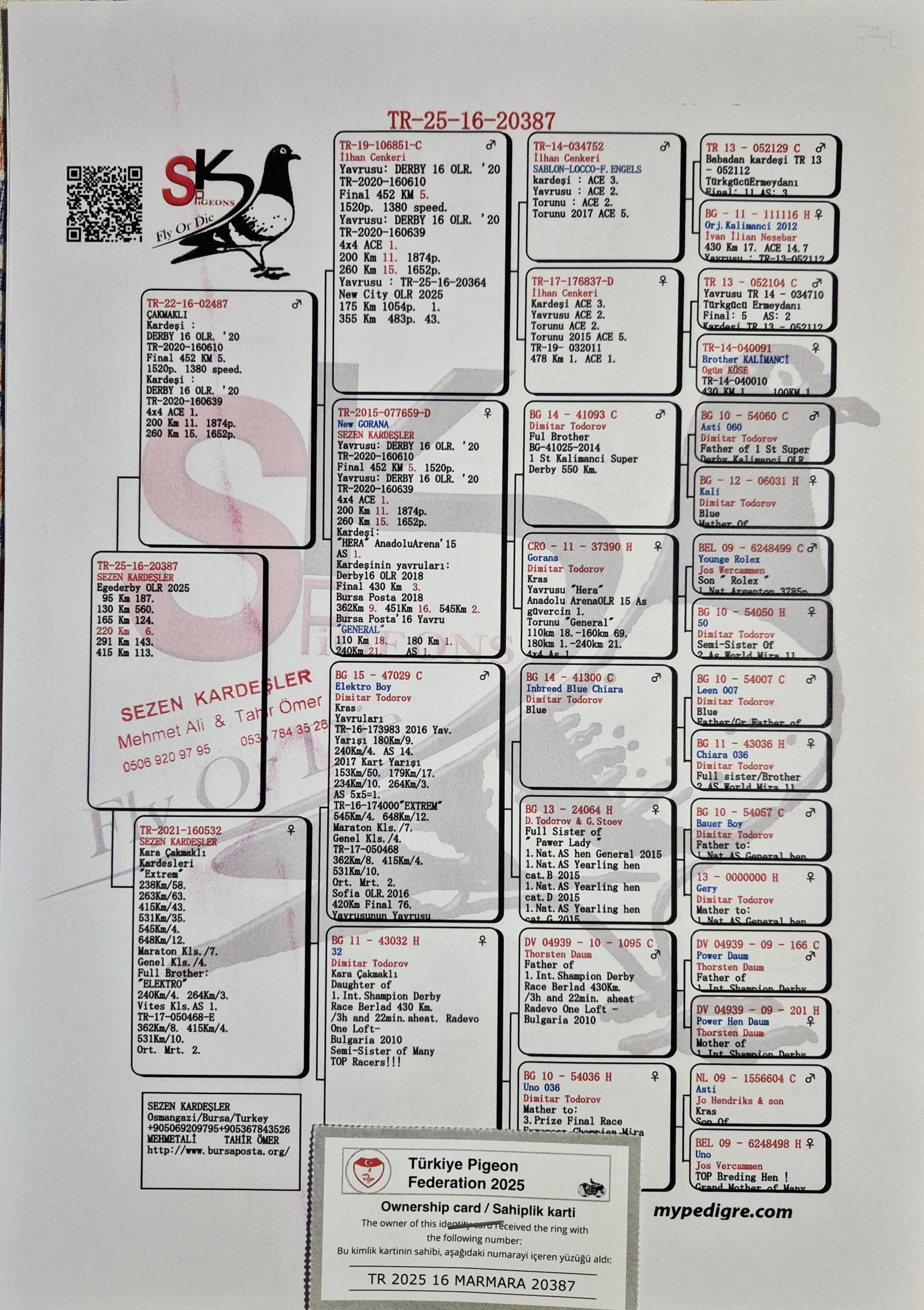 TR25-16-20387 / TEAM 16 - 113 FİNAL