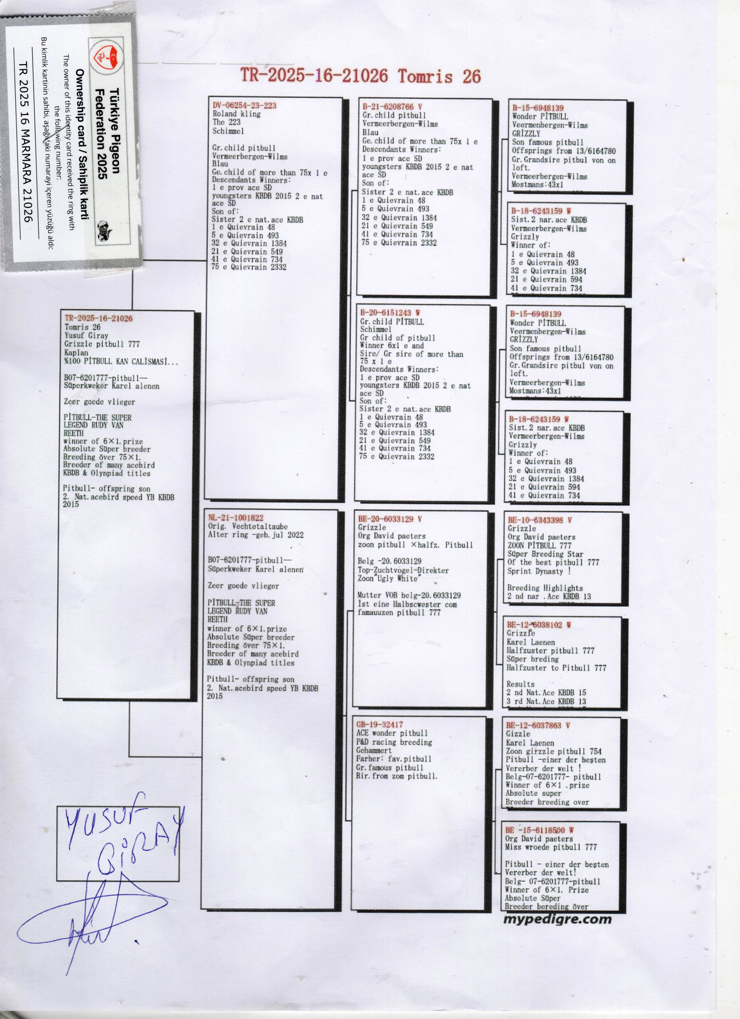 TR25-16-21026 DİŞİ / INBREED PITBULL TOMRIS 26