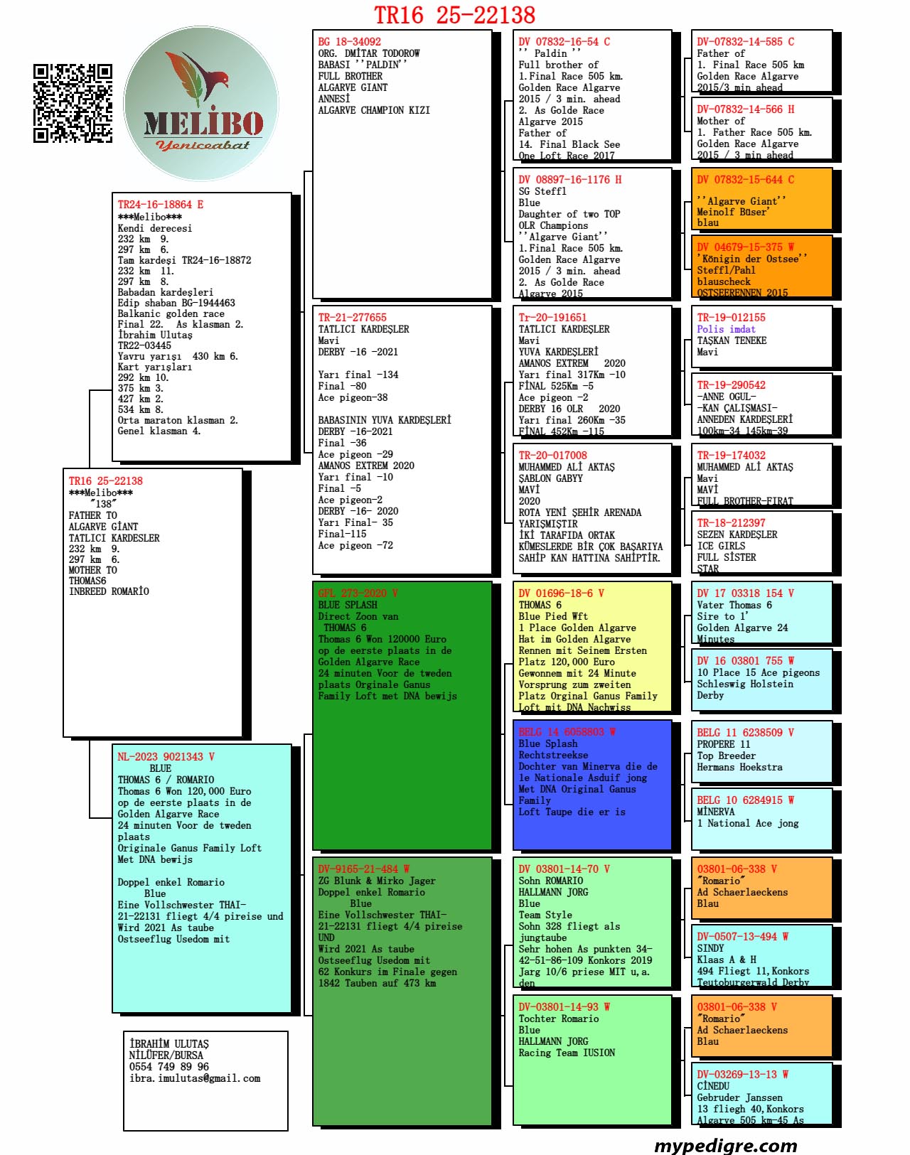 TR25-16-22138 ERKEK / ANNESİ THOMAS 6 INBREED BABASI YARIŞMIŞ 