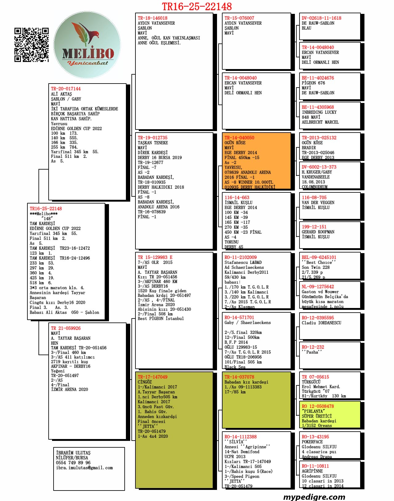 TR25-16-22148 ERKEK / TAM KARDEŞLERİ 2 FİNAL 511 & 5 AS KLASMAN 