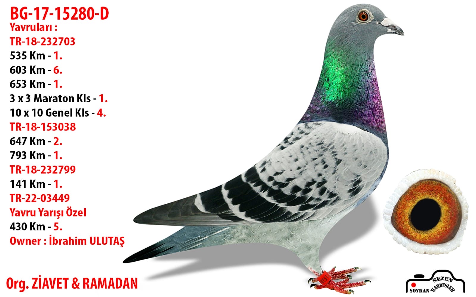 TR25-16-22150 DİŞİ / BABADAN KARDEŞLERİNİN BİR &Ccedil;OK BAŞARISI VAR