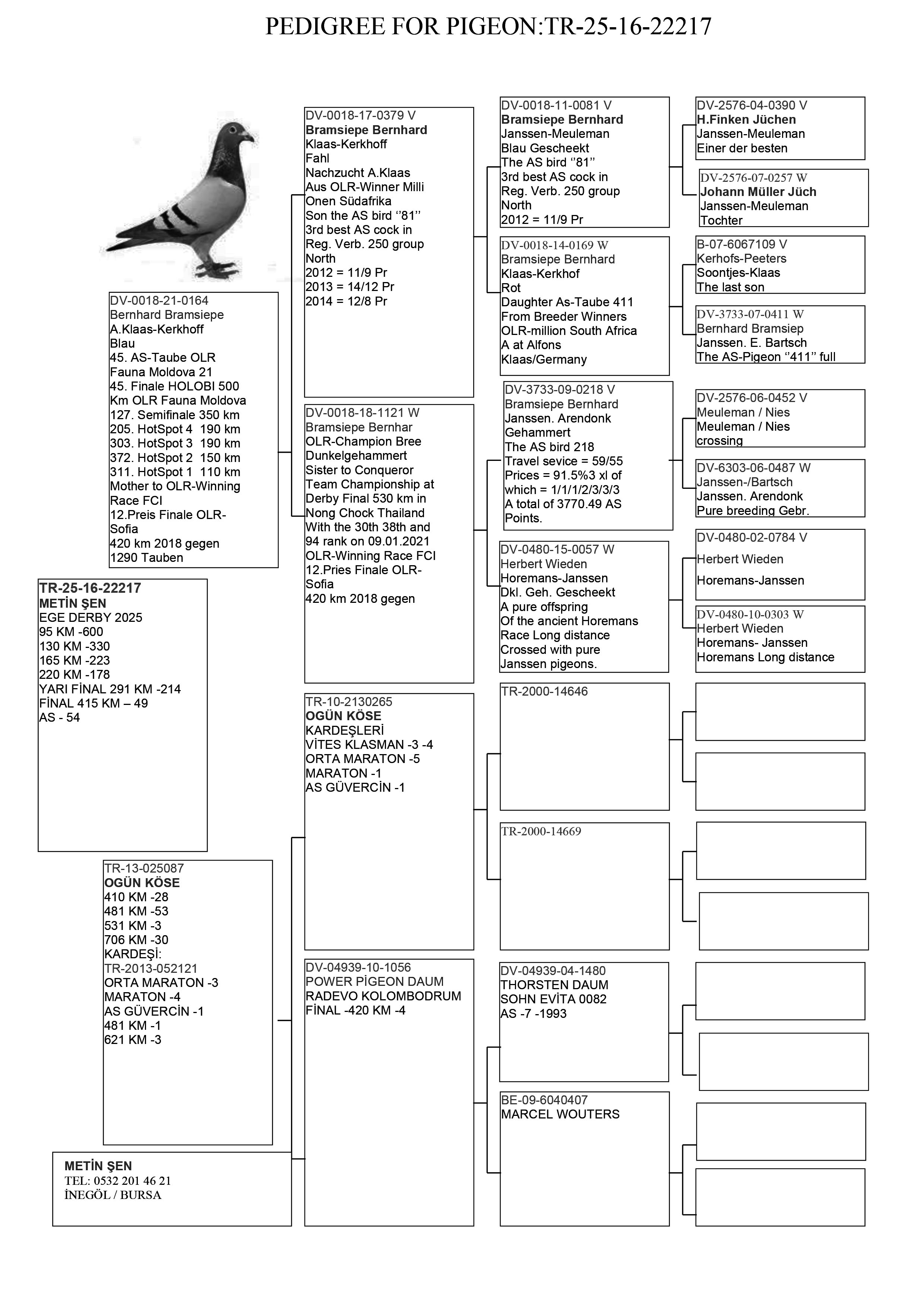 TR25-16-22217 / MALTA 16 A TAKIMI - 49 FİNAL  - AS 54 
