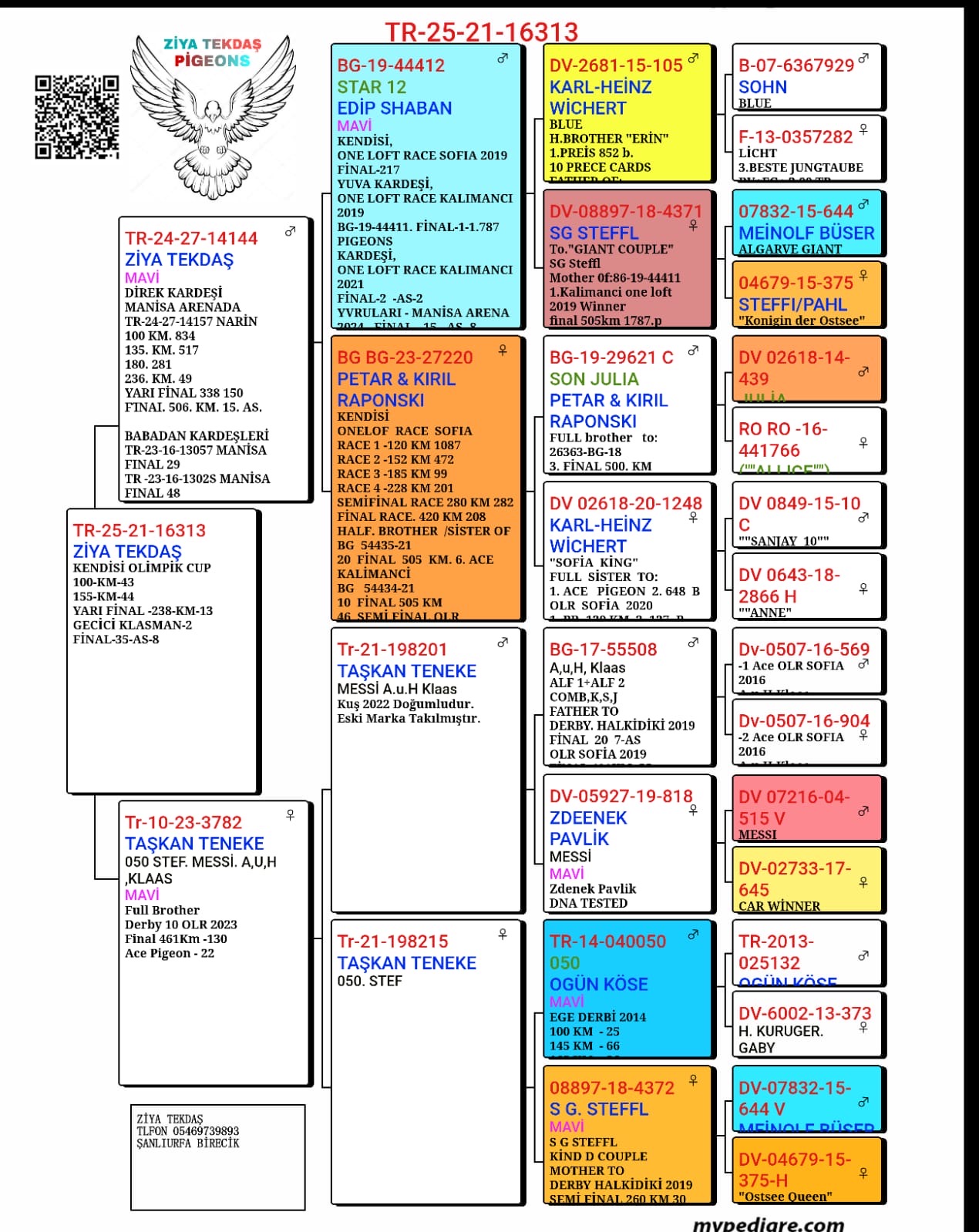 TR25-21-16313 TEKTAŞ KARDEŞLER  - 35 FİNAL 425 KM  & 8 AS 
