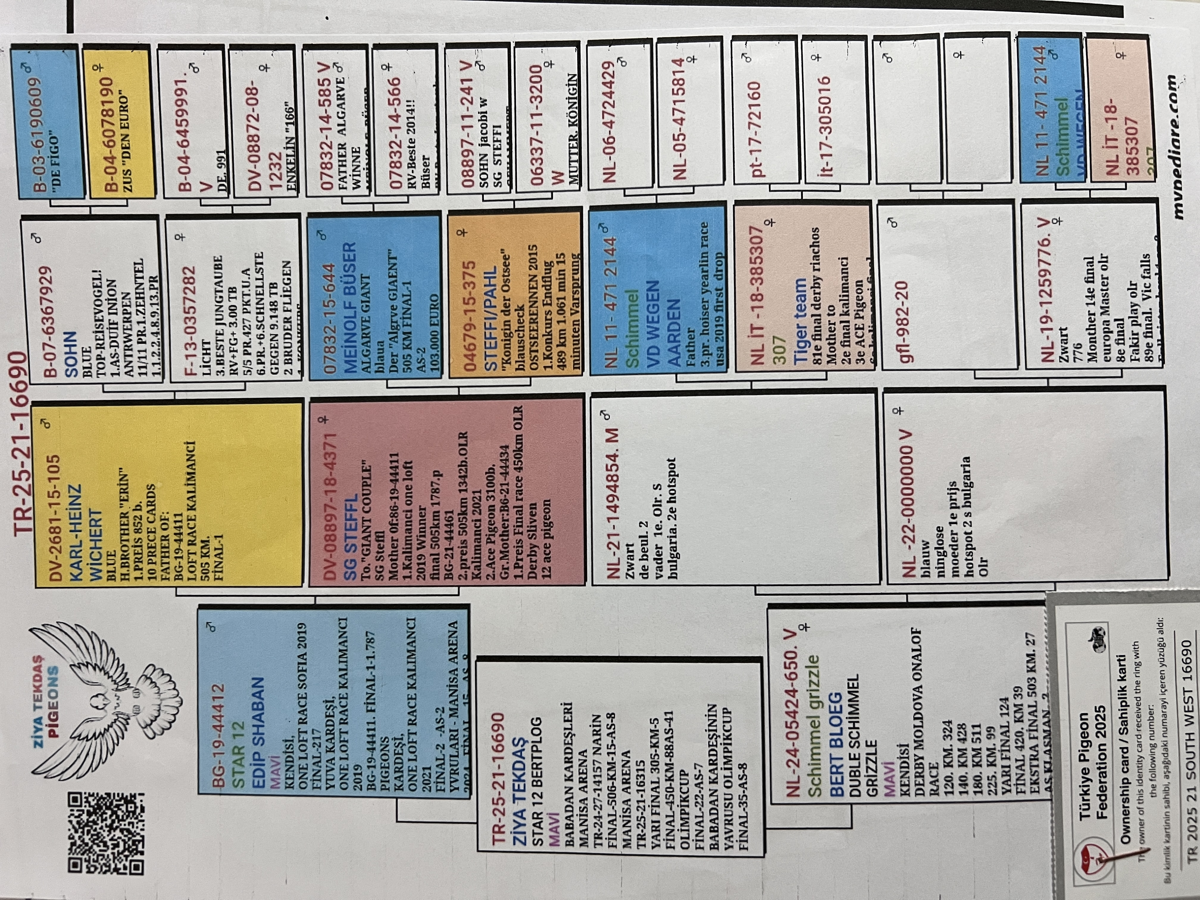 TR25-21-16690 / BABASI STAR 12 ANNESİ BERT BLOEG 