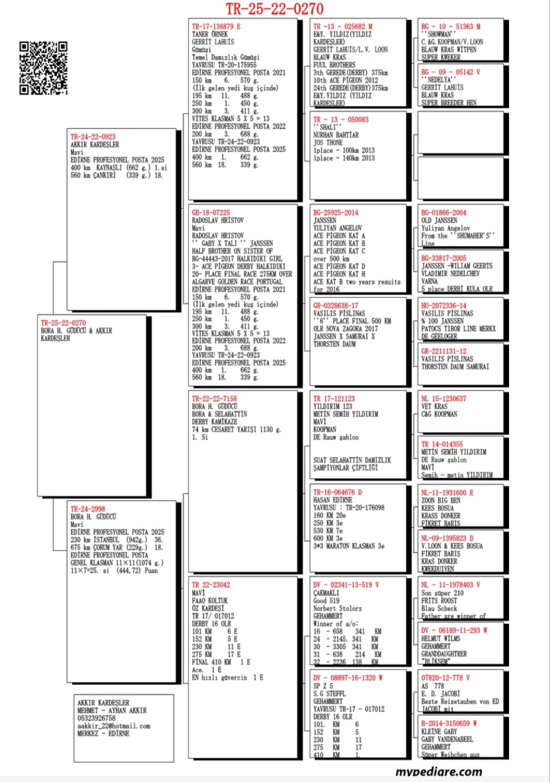 TR25-22-0270 / BABASI 1 400 KM EDİRNE PORFESYONEL POSTA