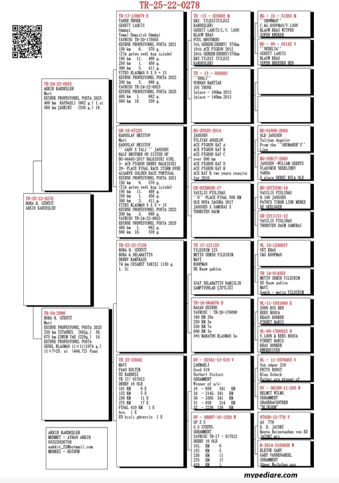 TR25-22-0278 / BABASI 1 400 KM EDİRNE PORFESYONEL POSTA