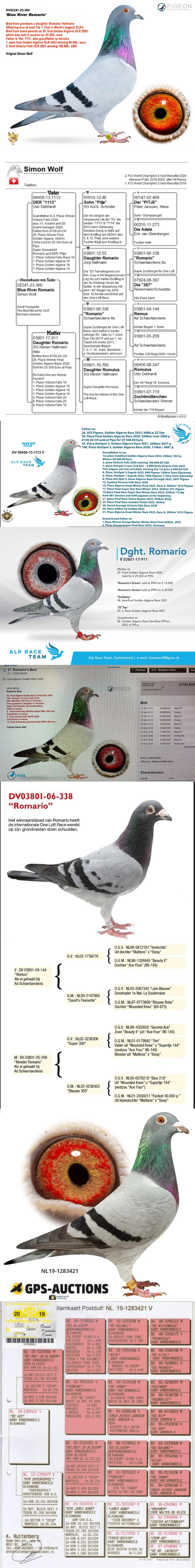TR25-26-05892 ERKEK / BABASI SIMON WOLF BABASININ KARDEŞİ 25.500 EURO SATILDI ANNESİ GABY