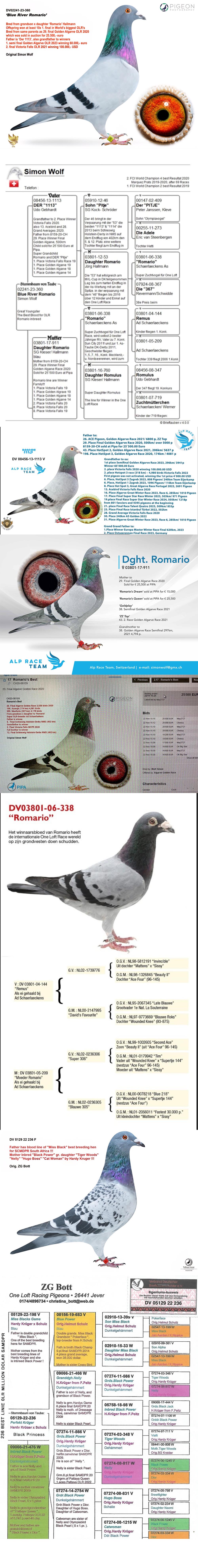 TR25-26-5847 ERKEK / BLUE RIVER ROMARIO X HARDY KRUGER % 100