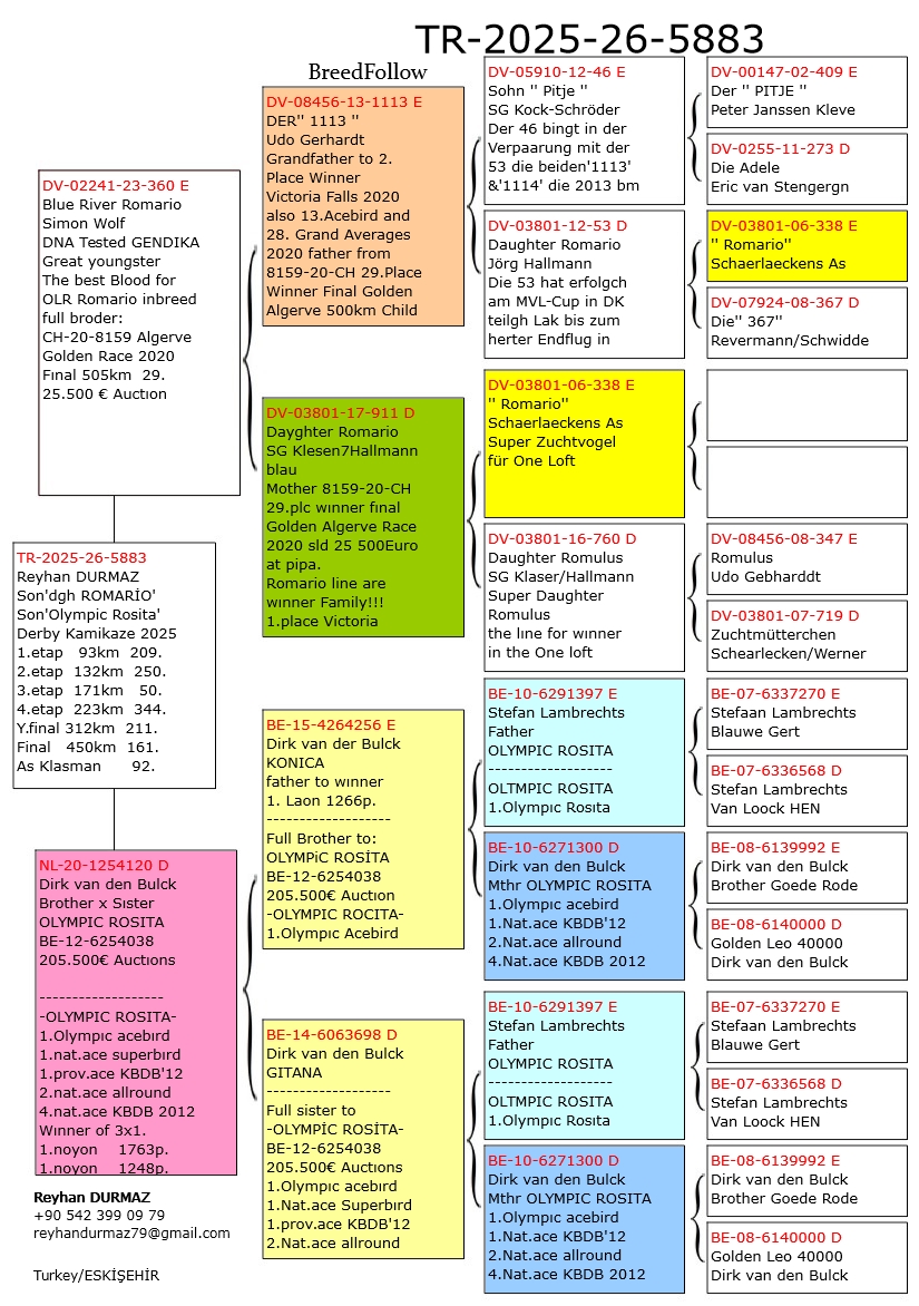TR25-26-5883 ERKEK / BLUE RIVER ROMARIO X INBREED OLMPIC ROSITA KAMIKAZE FİNAL 161
