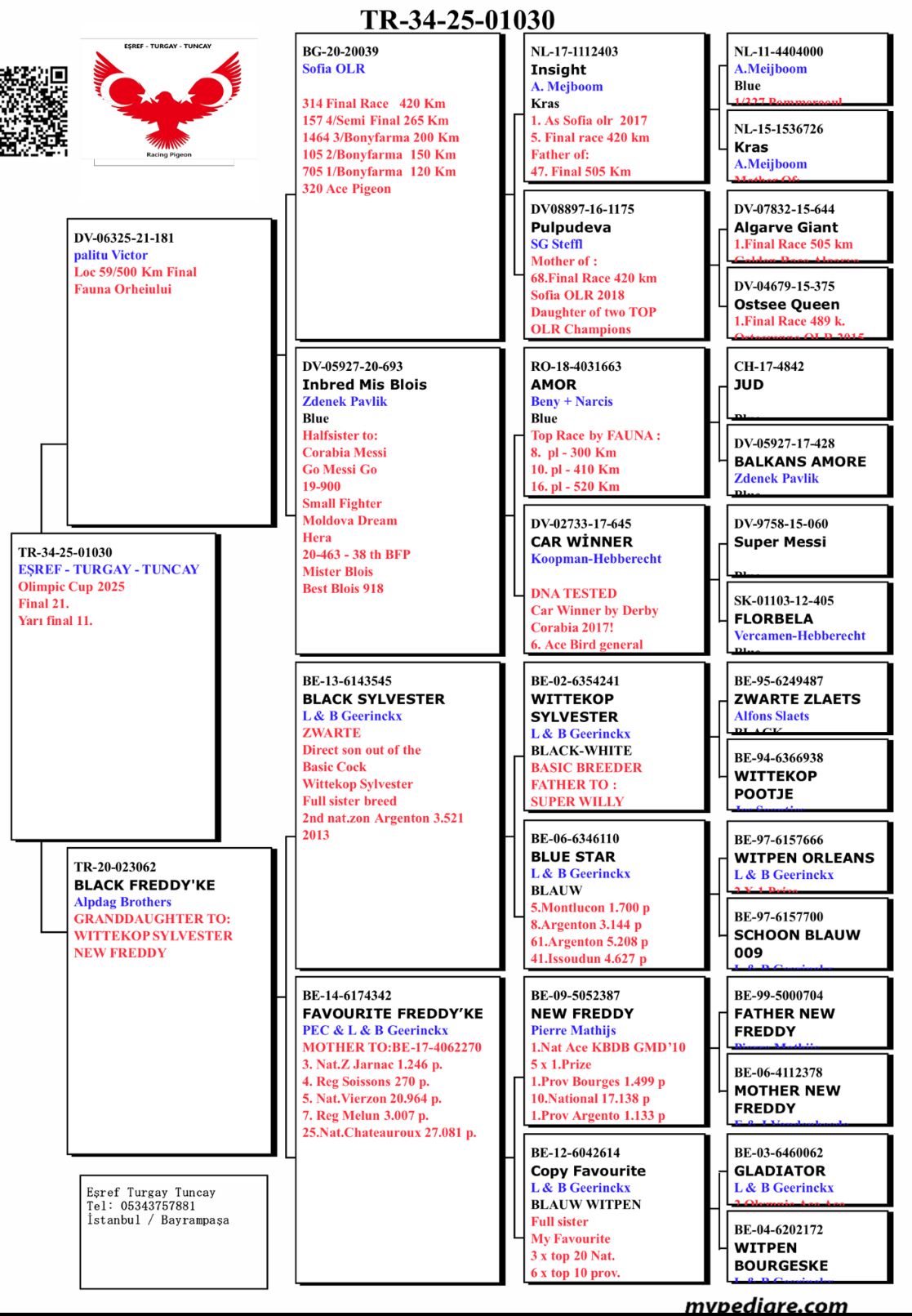 TR25-34-01030 ERKEK / EŞREF - TURGAY - TUNCAY  21 FİNAL 425 KM 