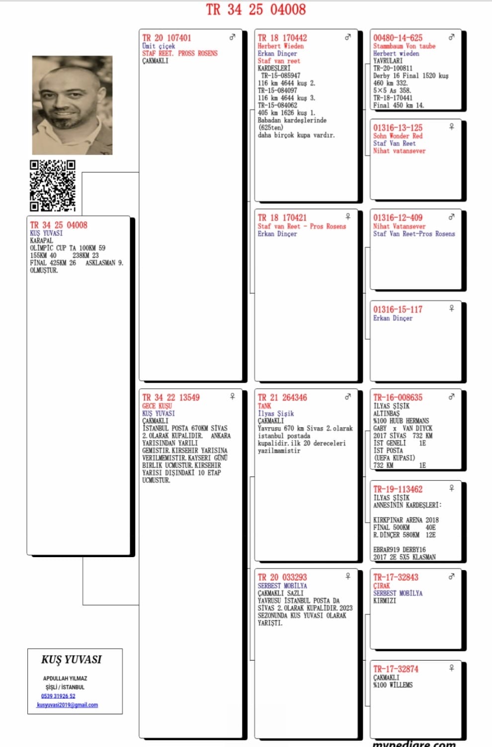 TR25-34-04008 DİŞİ /  ABDULLAH KUŞ YUVASI  26 FİNAL 425 KM & 9 AS