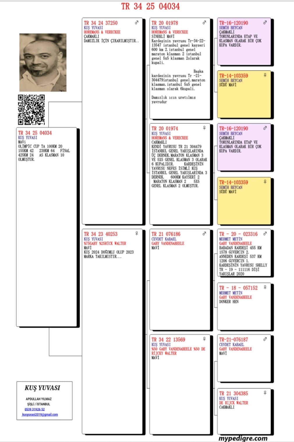 TR25-34-04034 / ABDULLAH KUŞ YUVASI  24 FİNAL 425 KM & 10 AS 