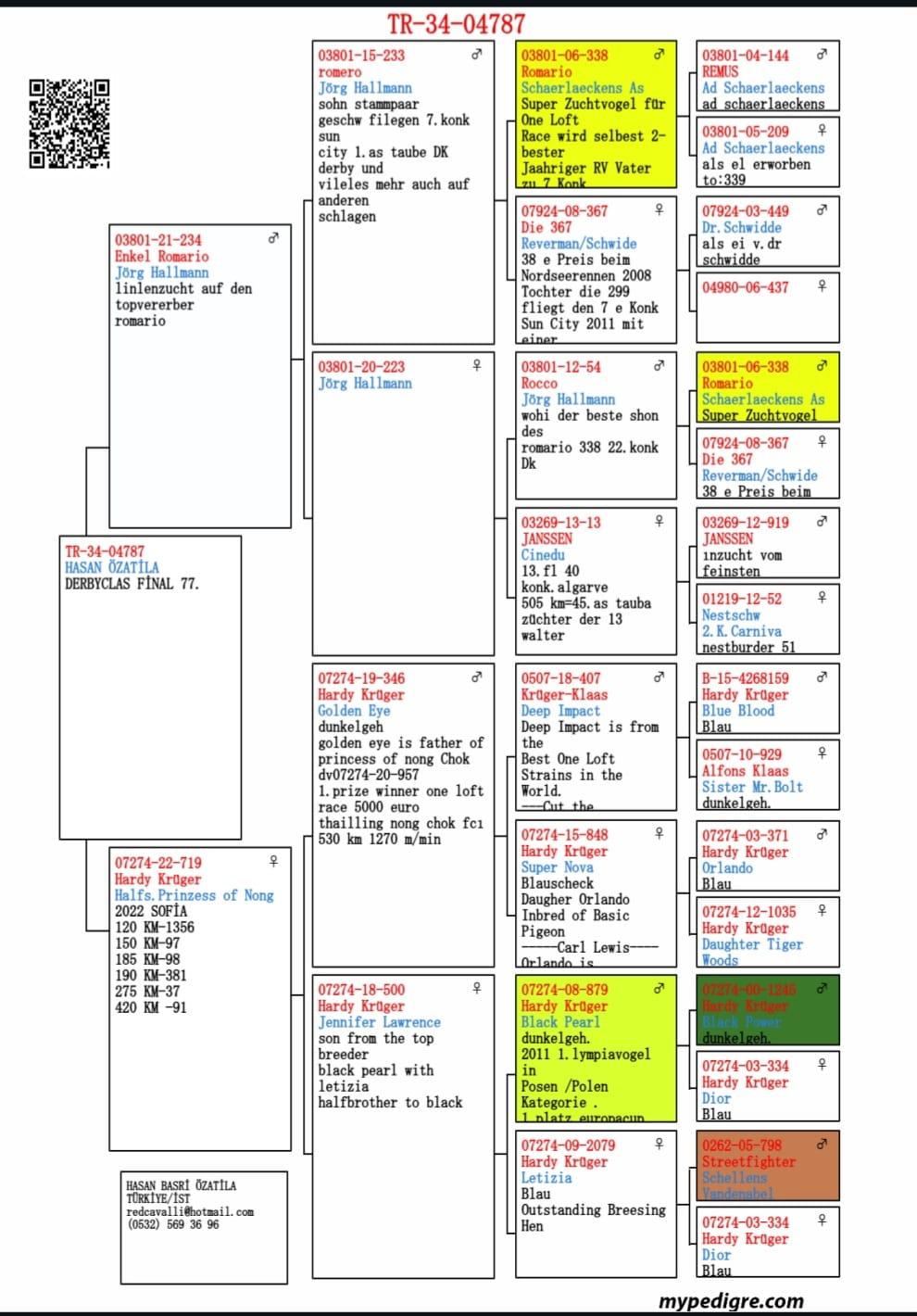 TR25-34-04787 ERKEK / KENDİSİ FİNAL 77 DERBY CLASS 
