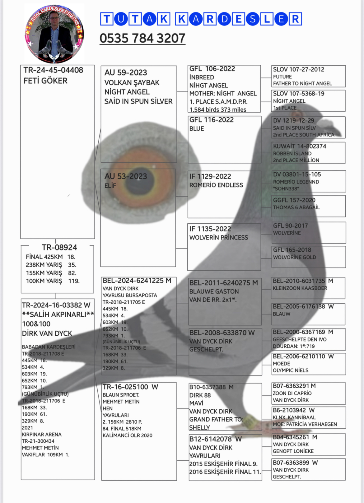 TR25-34-08924 DİŞİ / BÜLENT MUHAMMET  18 FİNAL 425 KM & 26 AS