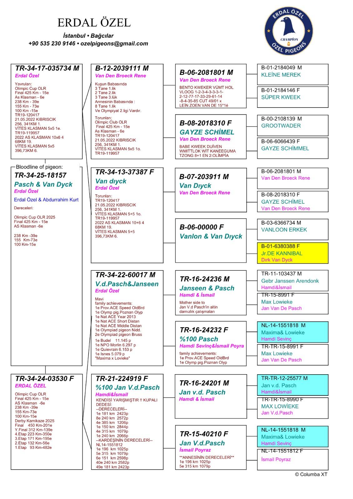 TR25-34-18157 DİŞİ / ERDAL- ADBULRAHİM 15 FİNAL 425 KM & 6 AS