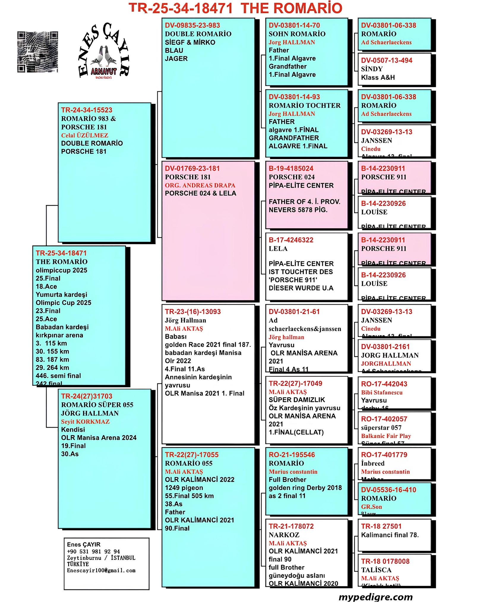 TR25-34-18471 ENES ÇAYIR / 25 FİNAL 425 KM & 18 AS 