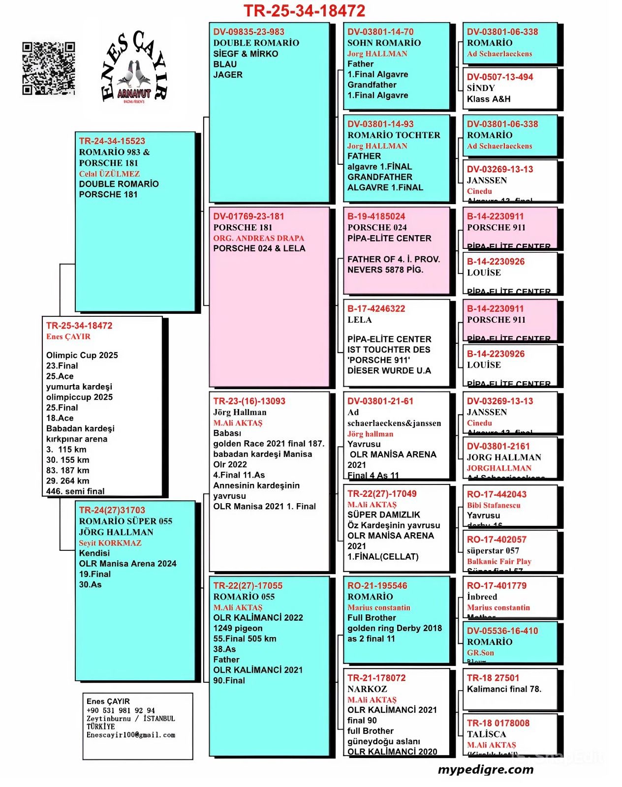 TR25-34-18472 / ENES ÇAYIR   23 FİNAL 425 KM & 25 AS 