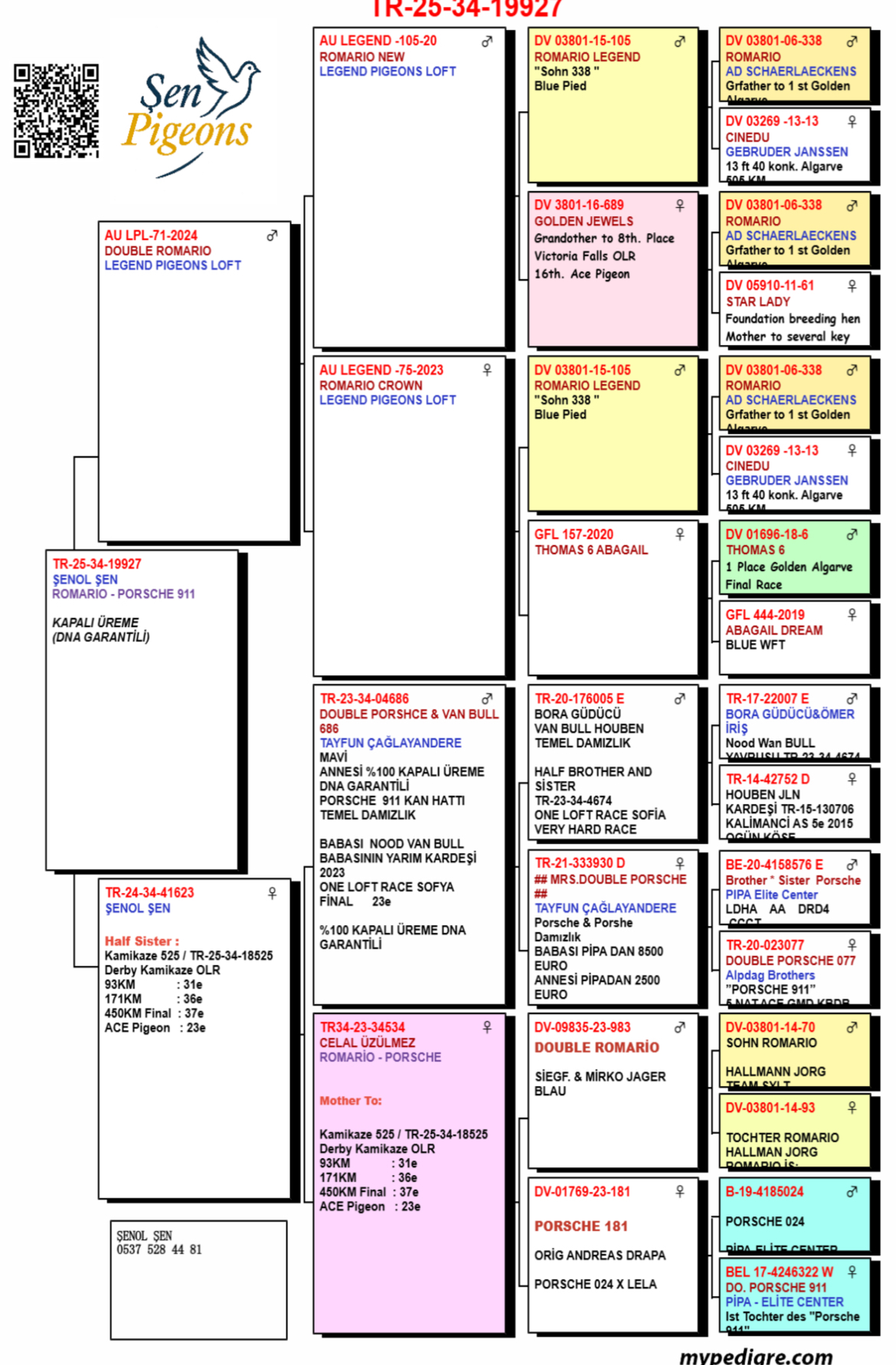 TR25-34-19927 / BABASI DOUBLE ROMARIO