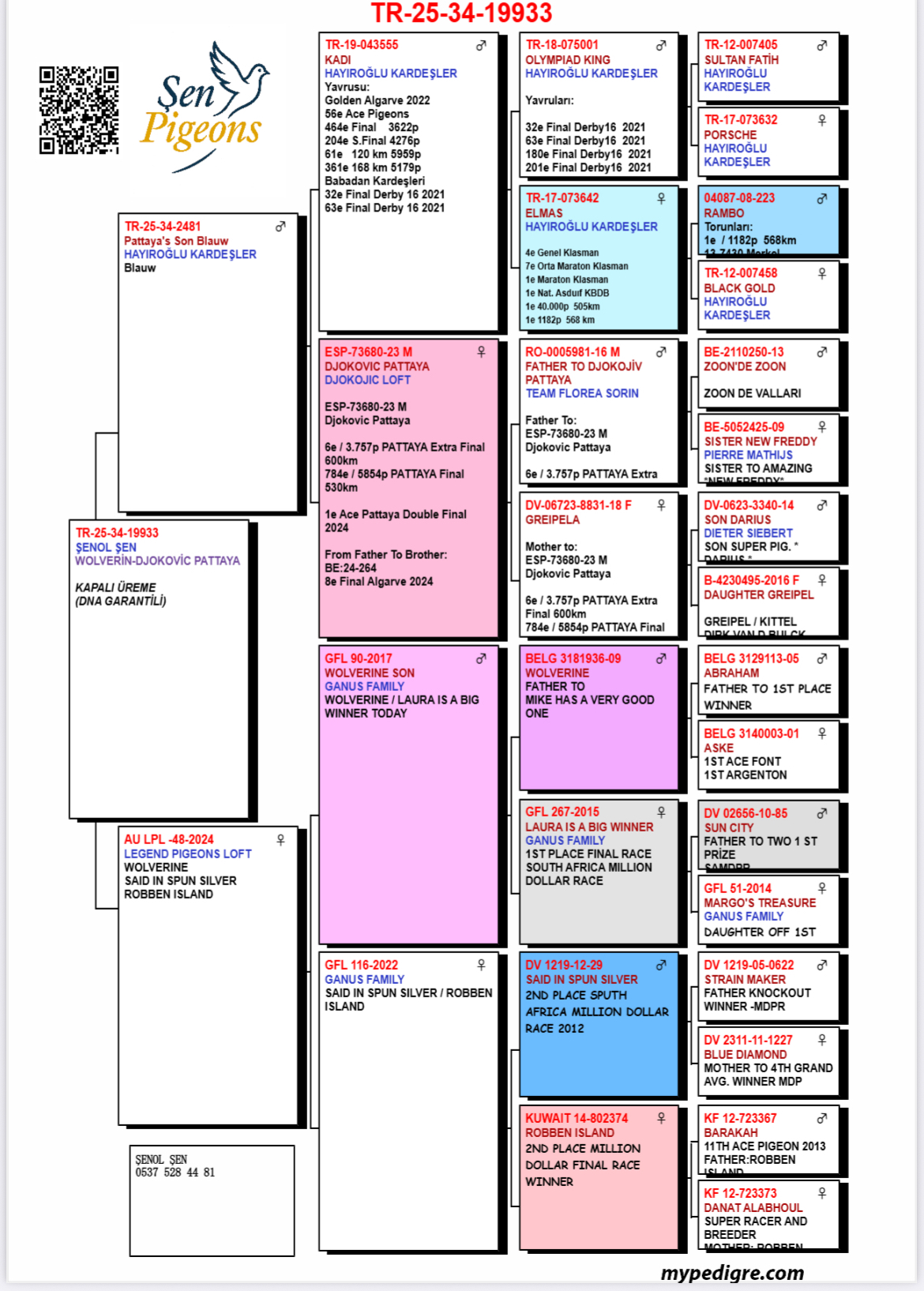 TR25-34-19933 / BABAANNESİ 6 ECTRA FİNAL PATTAYA