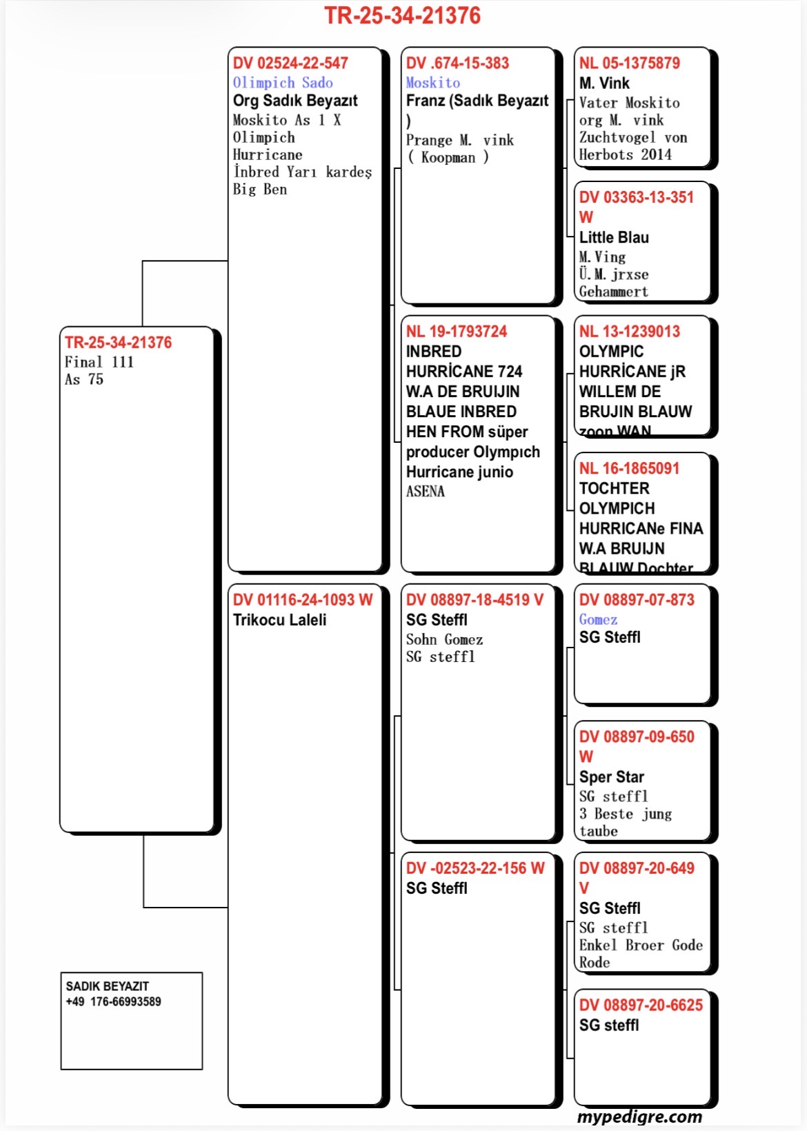 TR25-34-21376 / IROR SADIK BEYAZIT BEN ATA - 111 FİNAL