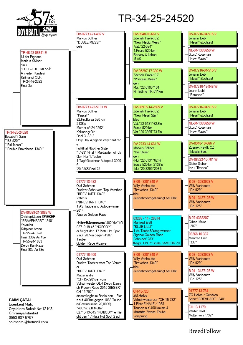 TR25-34-24520 / BOYABATLI SAİM  - 71 FİNAL