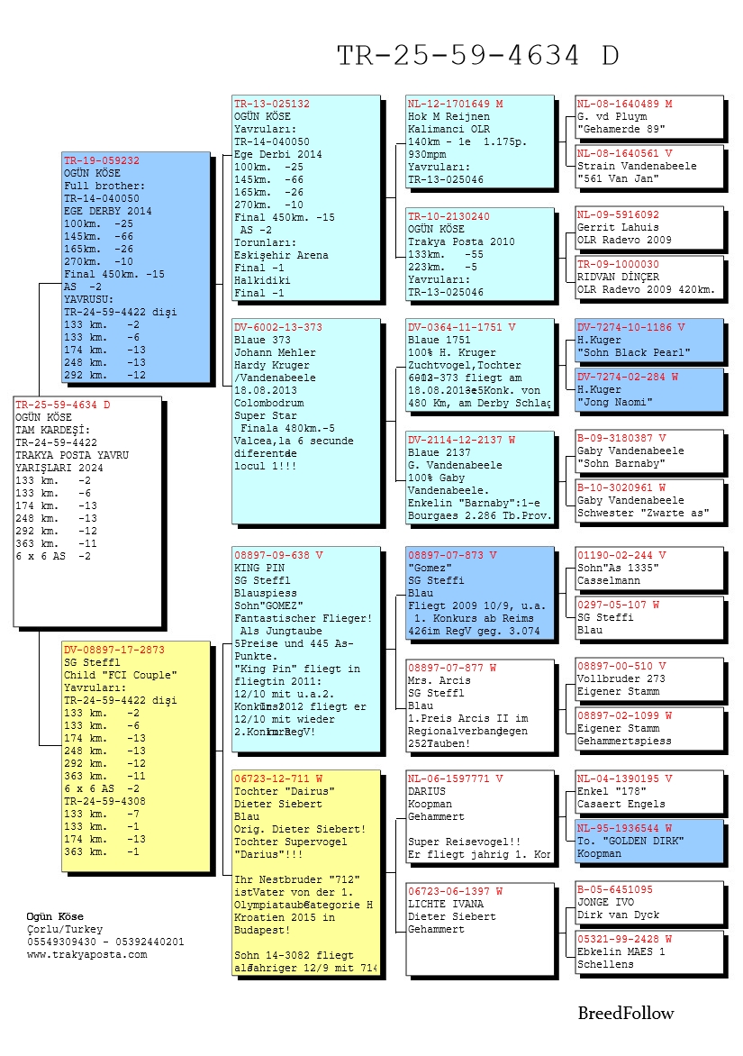 TR25-34-4634 DİŞİ / TAM KARDEŞİ 2  AS KLASMAN
