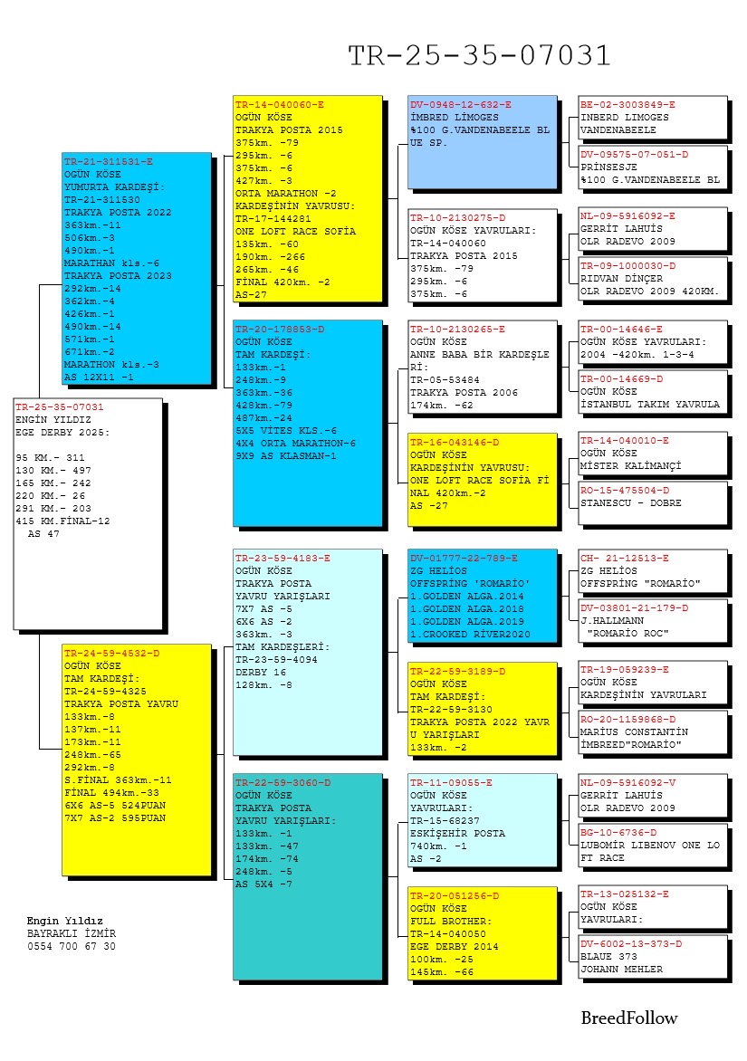TR25-35-07031 / ENGİN YILDIZ  12 FİNAL 