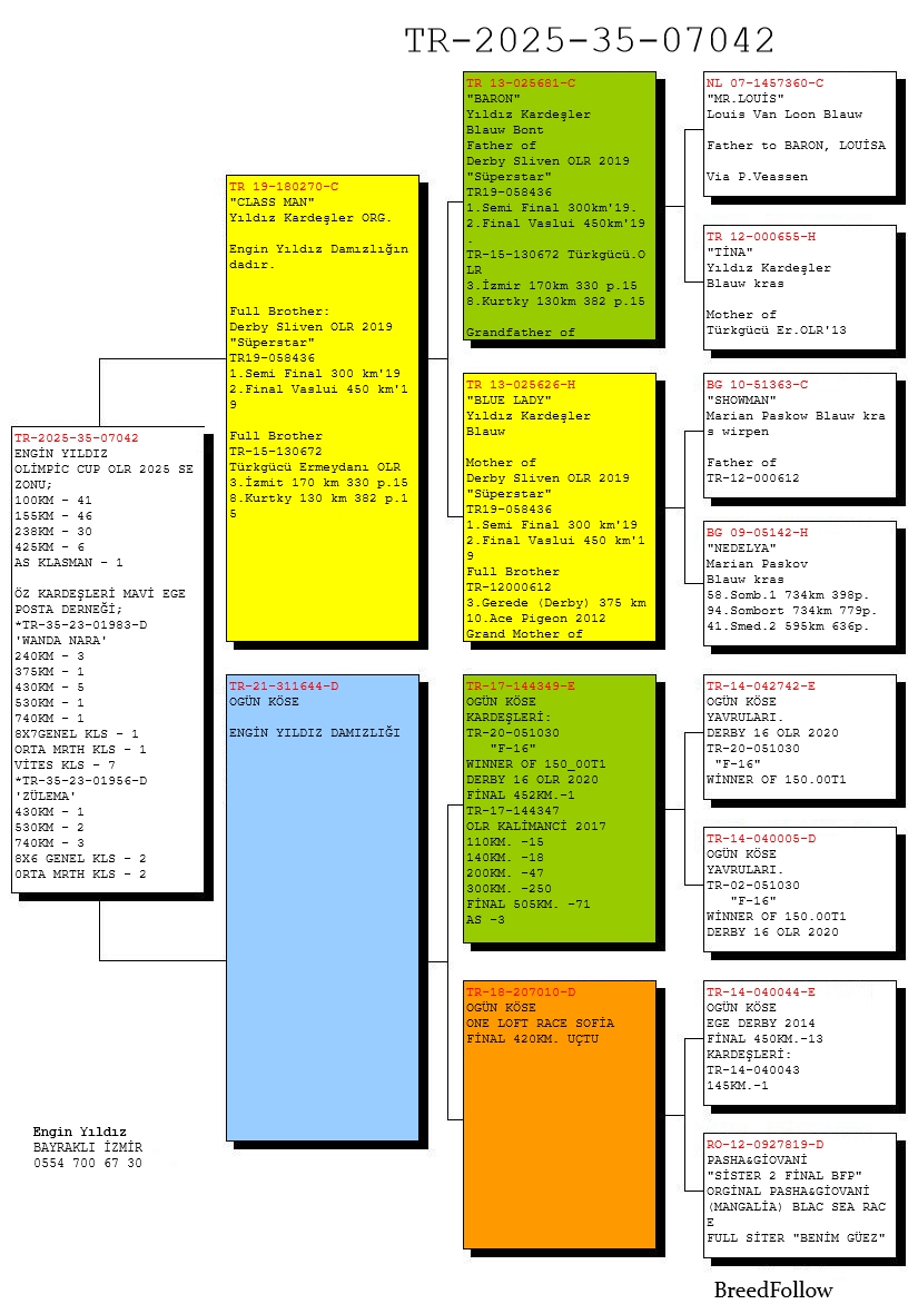TR25-35-07042 ERKEK / ENGİN YILDIZ - 6 FİNAL 425  KM   1 ACE PIGEIN