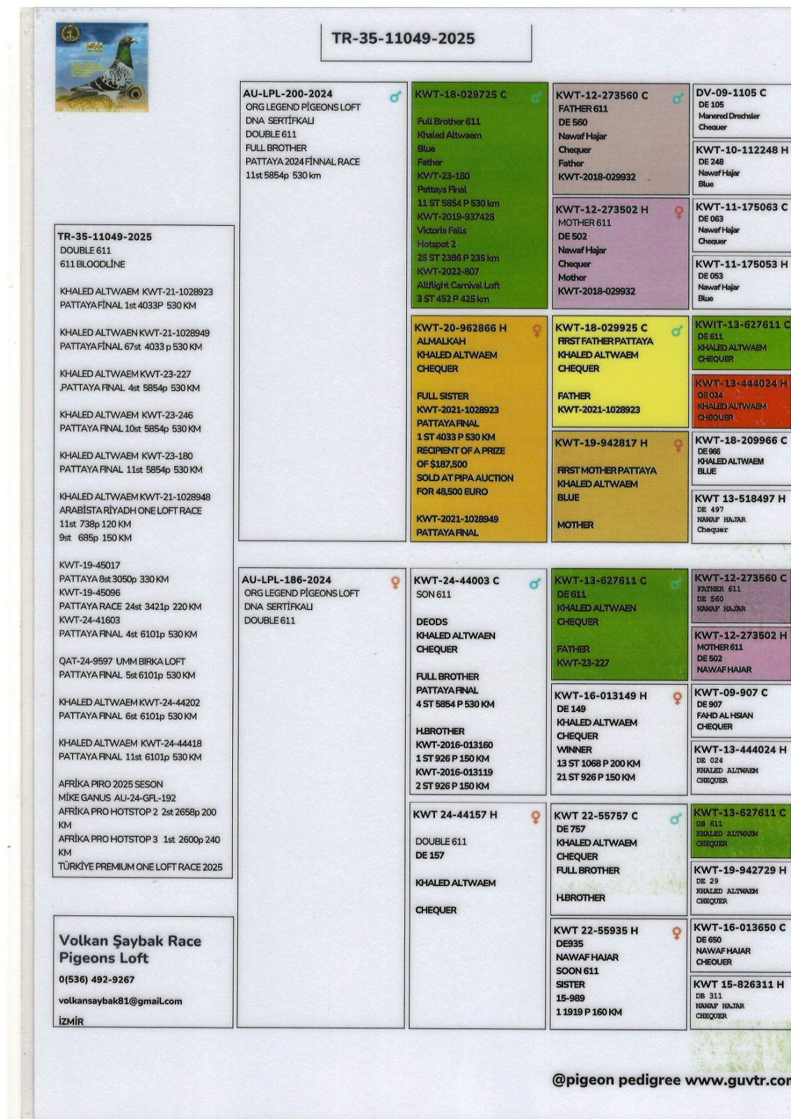TR25-35-11049 / INBREED 611 