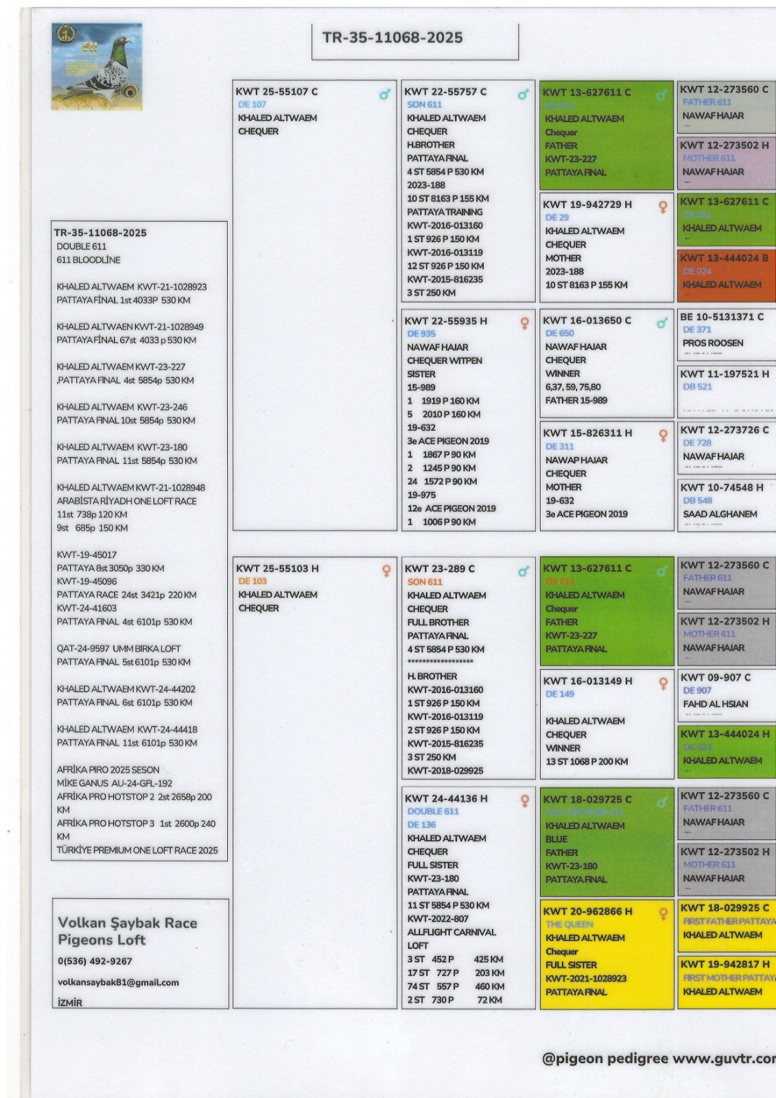 TR25-35-11068 - INBREED 611 