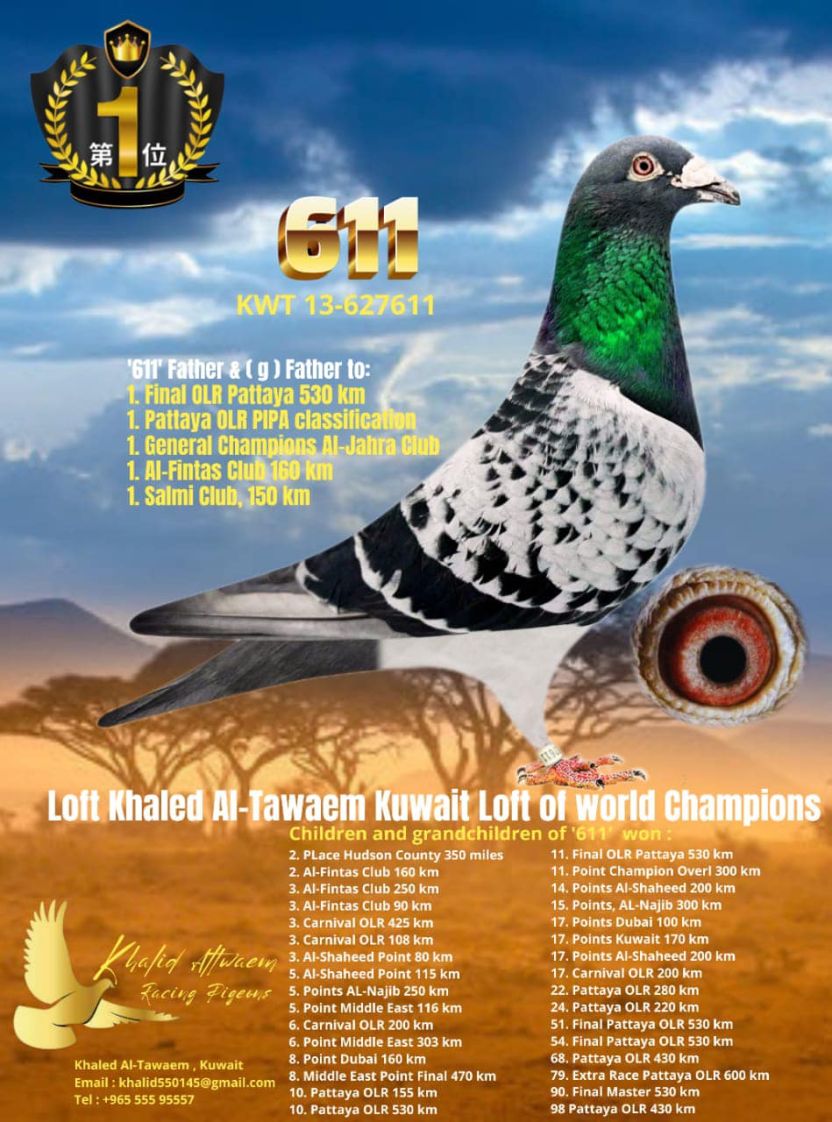 TR25-35-11068 - INBREED 611 