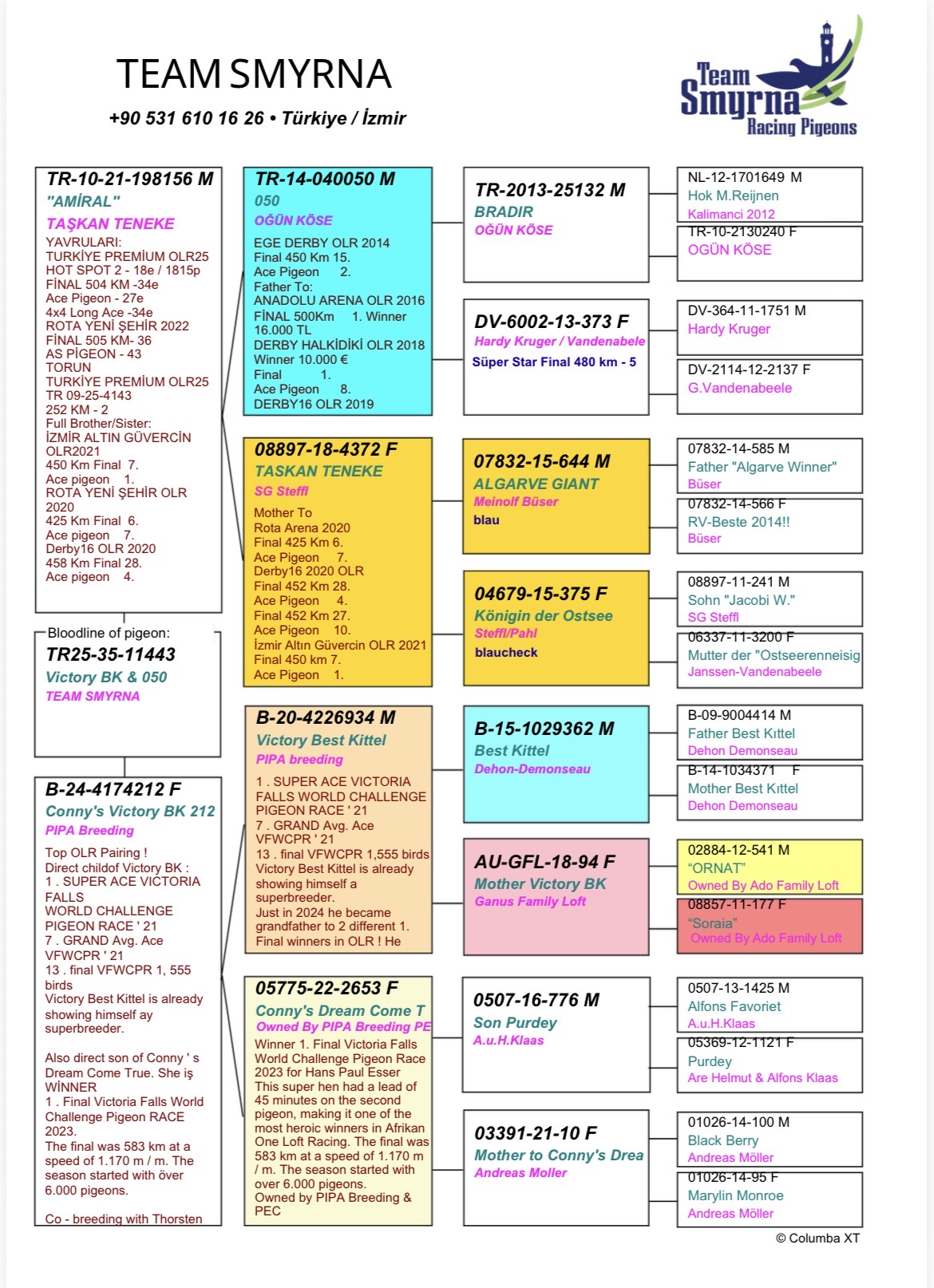TR25-35-11443 DİŞİ / 050 - VICTORİA BEST KITTEL TORUNU 