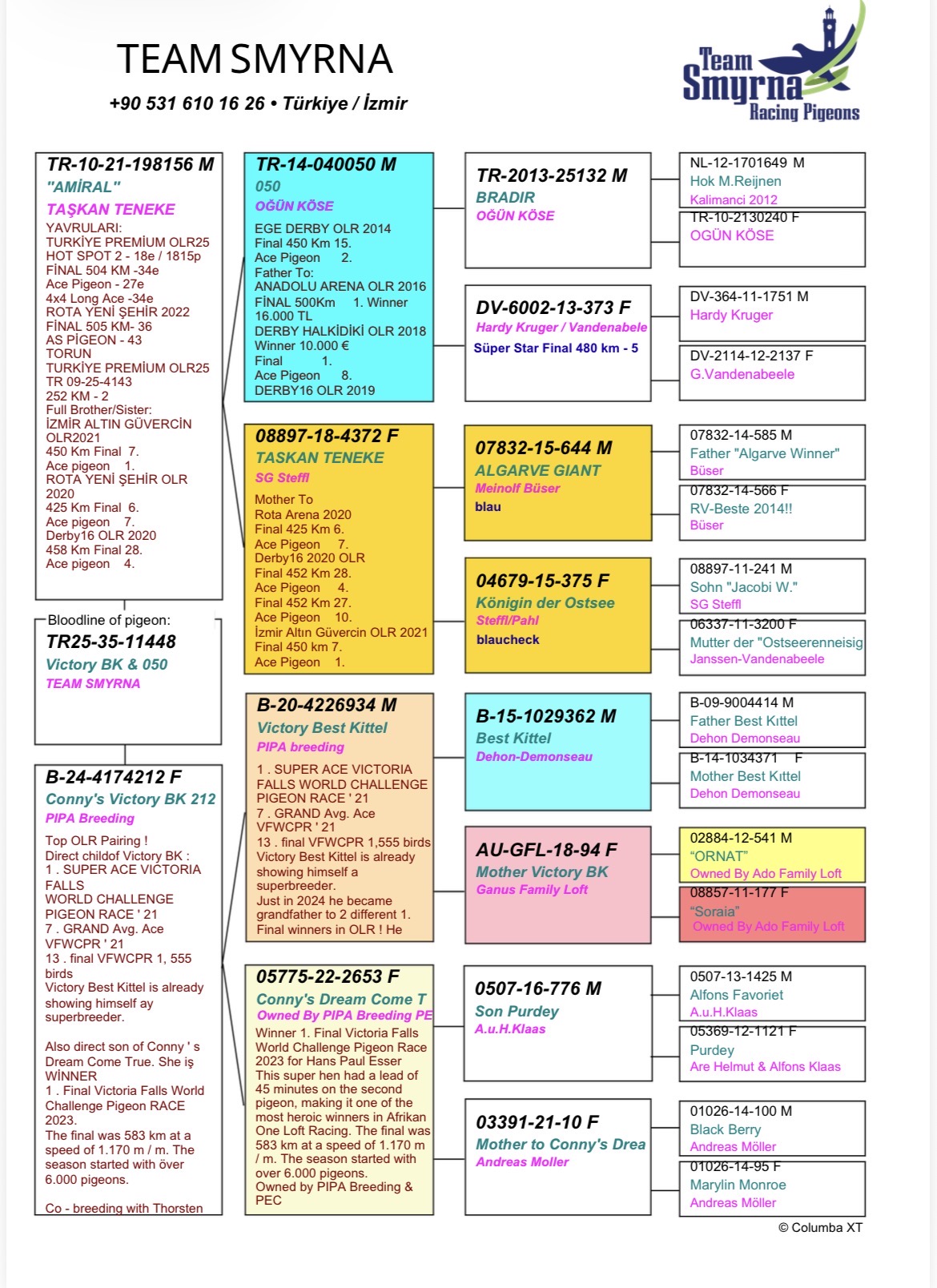 TR25-35-11448 DİŞİ / 050 - VICTORİA BEST KITTEL TORUNU 